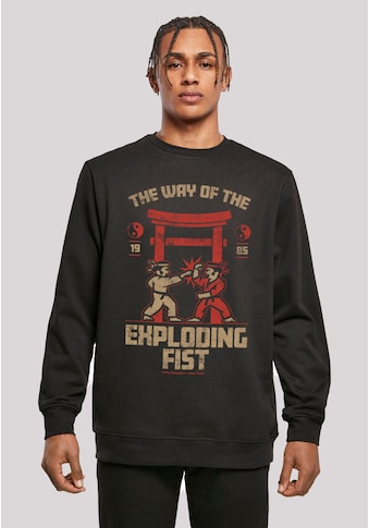 Kapuzenpullover »Retro Gaming The Way of the Exploding Fist«