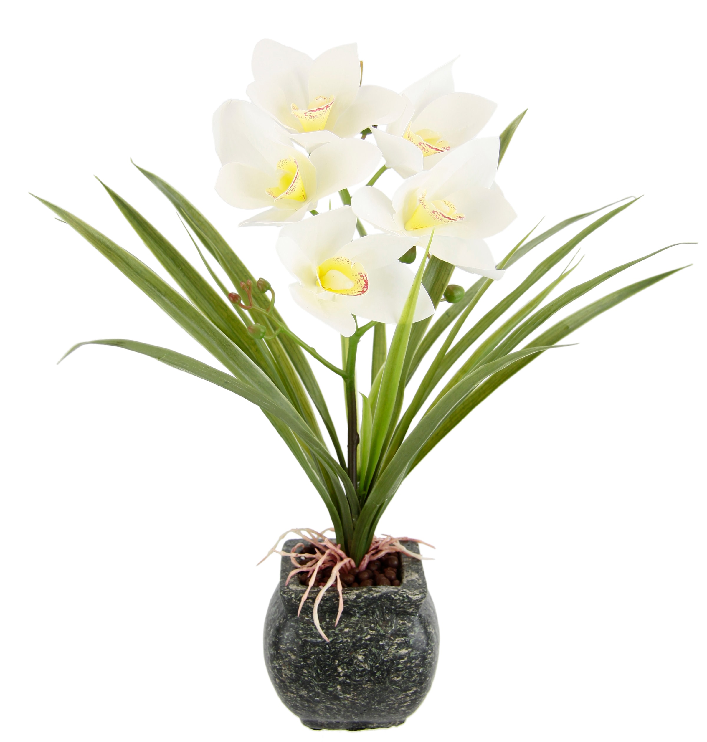 Kunstblume »Orchidee«, Mit Blätter im Topf aus Zement Künstliche Blume Cymbidium-Orchidee