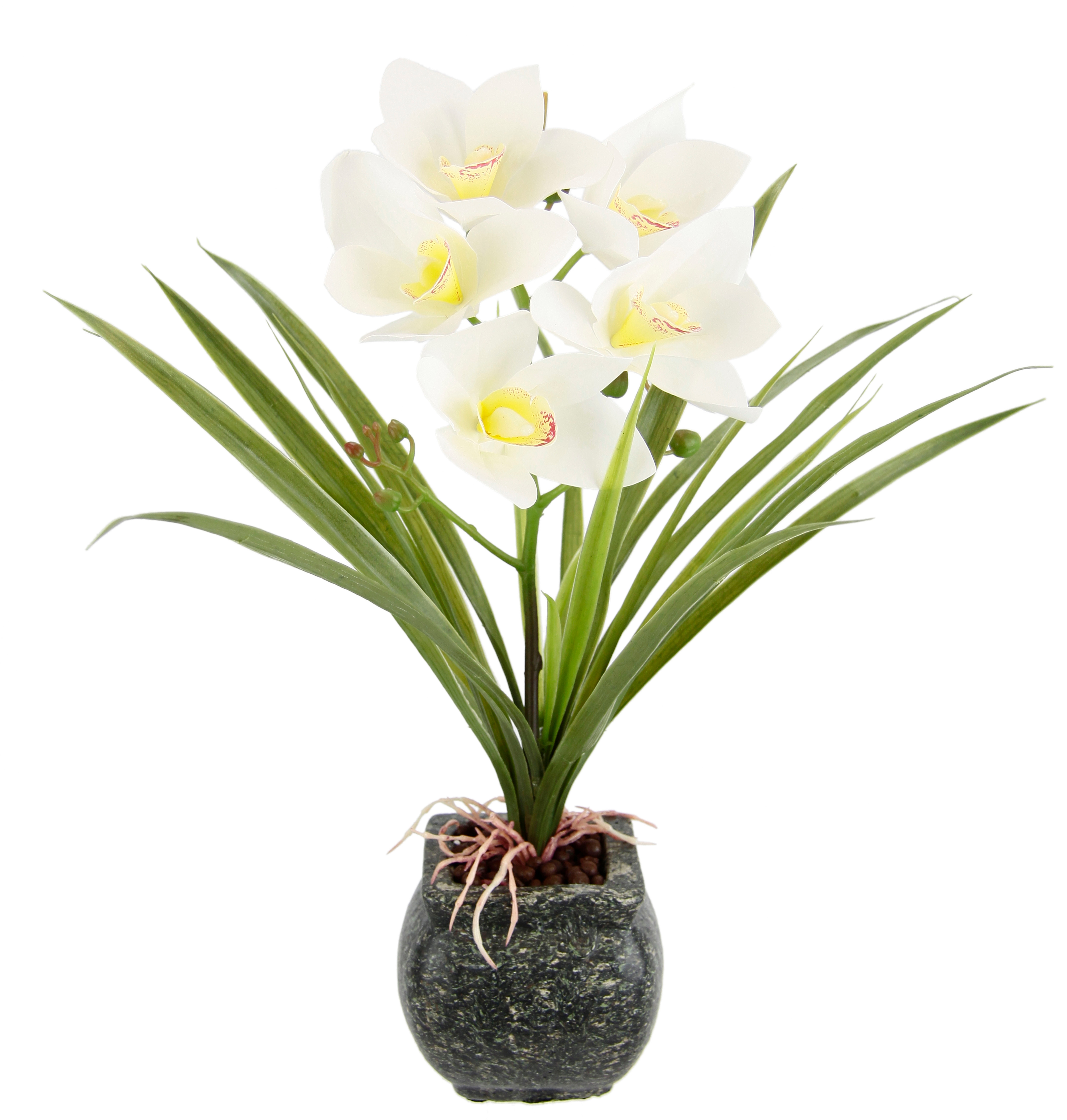 OTTO home Kunstblume "Orchidee" Mit Blätter im Topf aus Zement Künstliche Blume Cymbidium-Orchidee