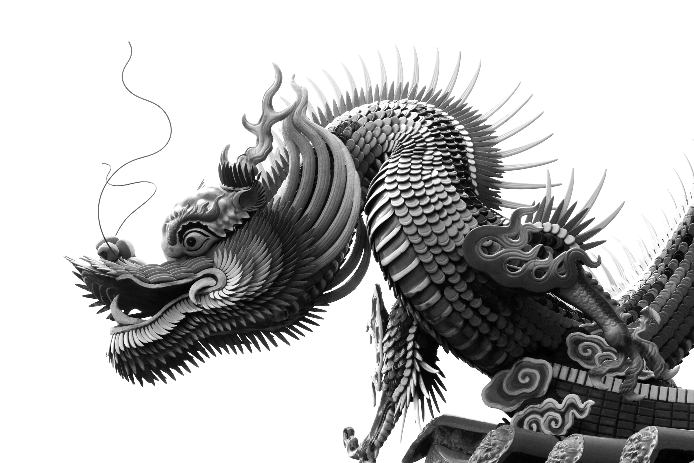 Papermoon Fototapete "Chinesischer Drache Schwarz & Weiß"