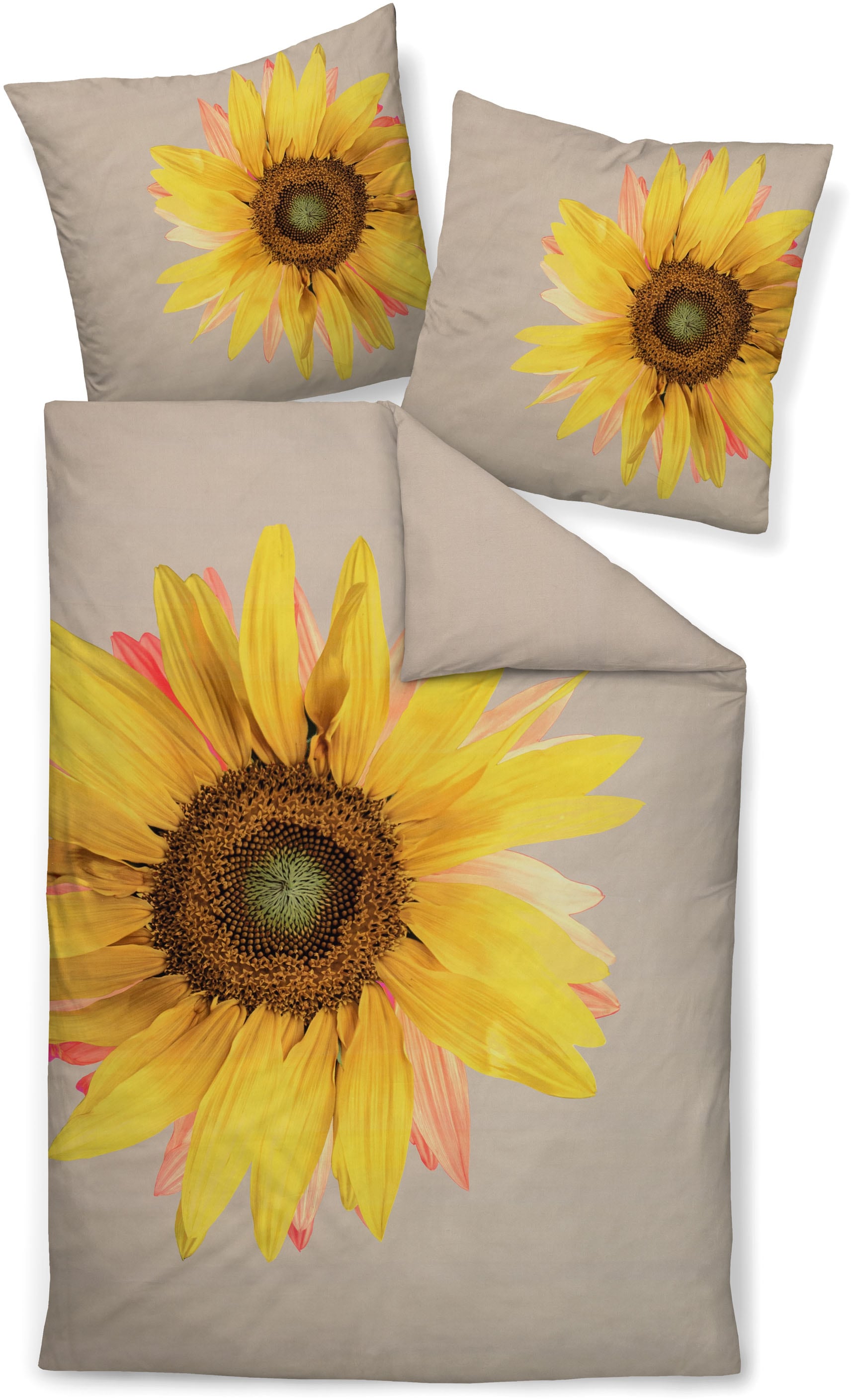 Janine Bettwäsche "modern art S 42162 03" mit Reißverschluss günstig online kaufen