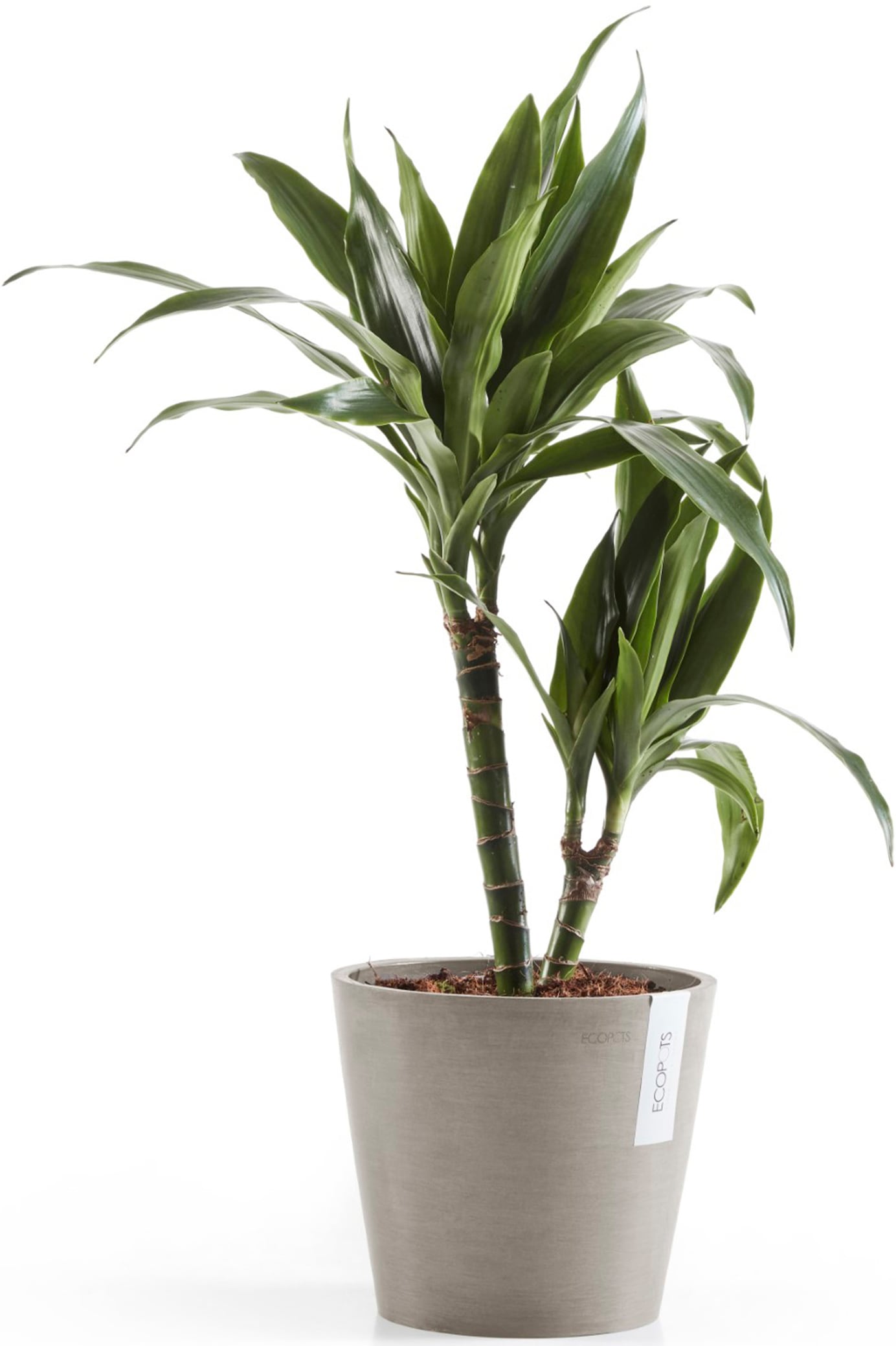 ECOPOTS Blumentopf »Amsterdam 20 + Wassersystem Taupe«, für innen und außen: frostsicher, bruchsicher und lichtbeständig