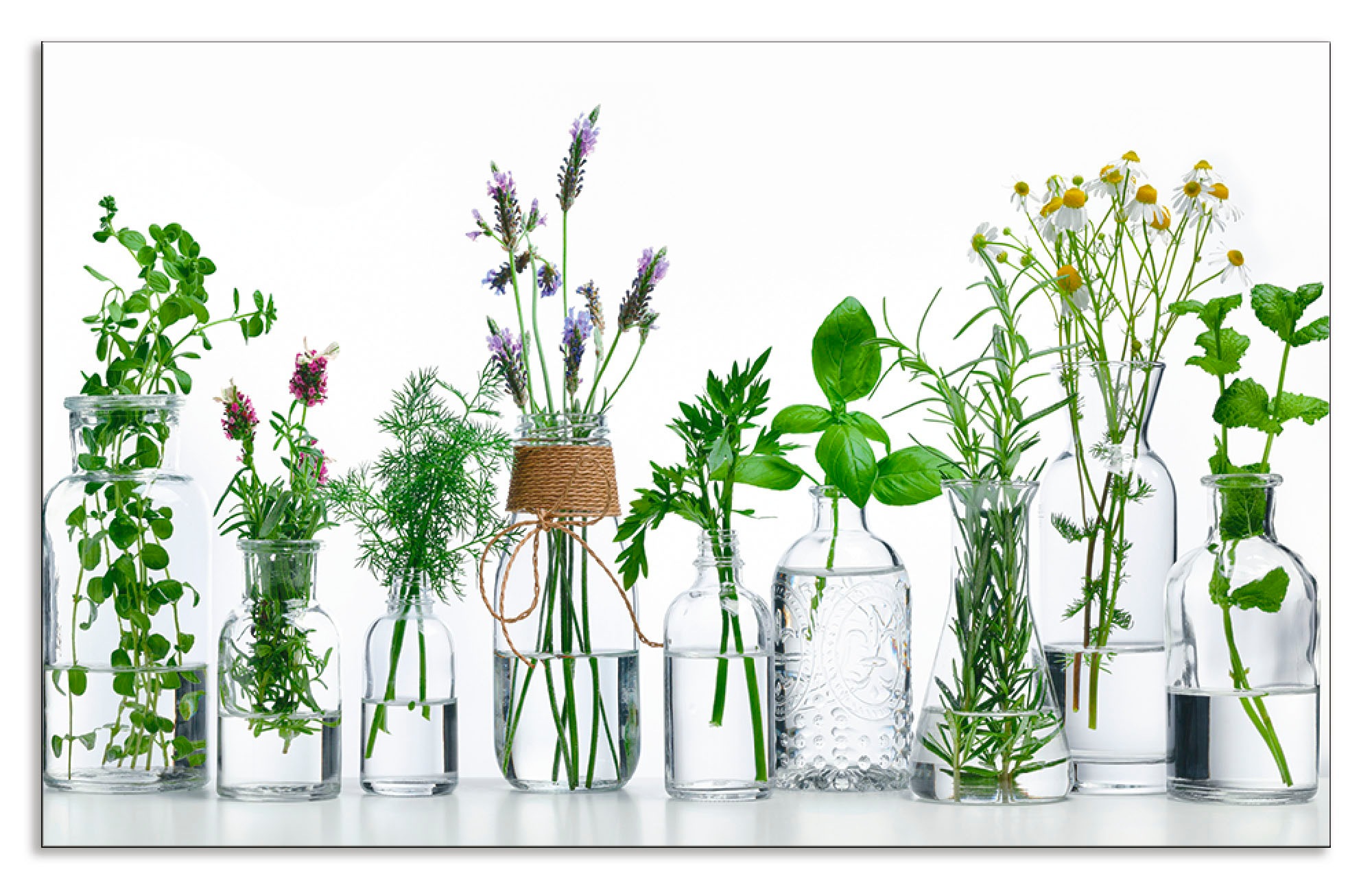 Artland "Öle mit Kräutern" Alu Spritzschutz mit Klebeband, einfache Montage günstig online kaufen