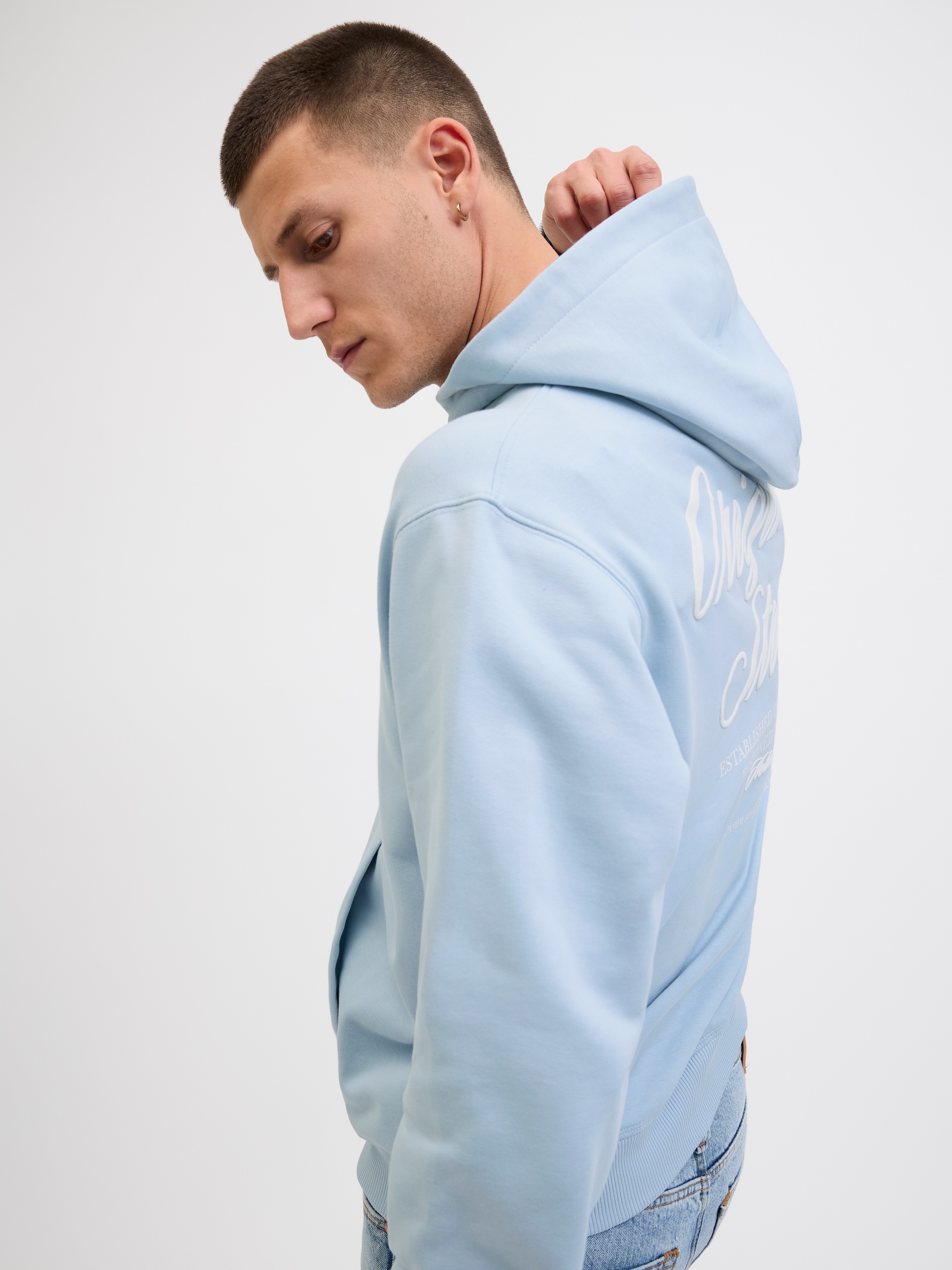 Jack & Jones Kapuzensweatshirt »JORNORREBRO TYPO BACK SWEAT HOOD SN«, mit Print
