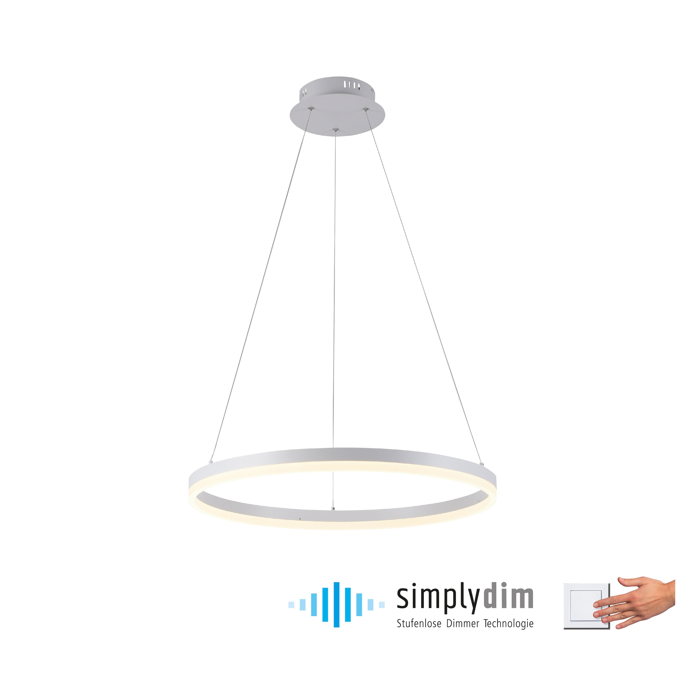Paul Neuhaus Pendelleuchte »TITUS«, 1 flammig, Leuchtmittel LED-Board | LED fest integriert, LED, dimmbar, Simply Dim, Memory, nach Trennung vom Netz
