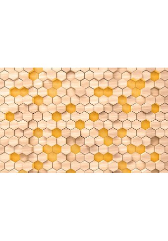 Komar Vliestapete »Woodcomb Birch« 400x250 c...