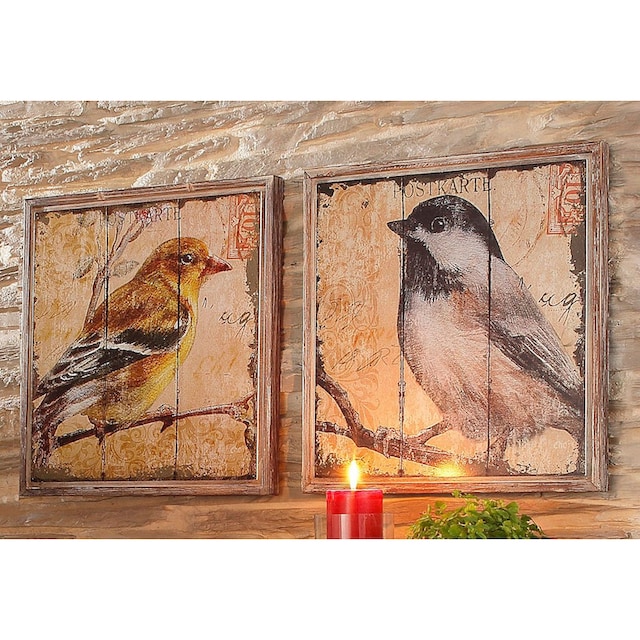 Black Friday HOFMANN LIVING AND MORE Bild »Vogel«, (Set), Tiermotiv (Set, 2  St.) | BAUR