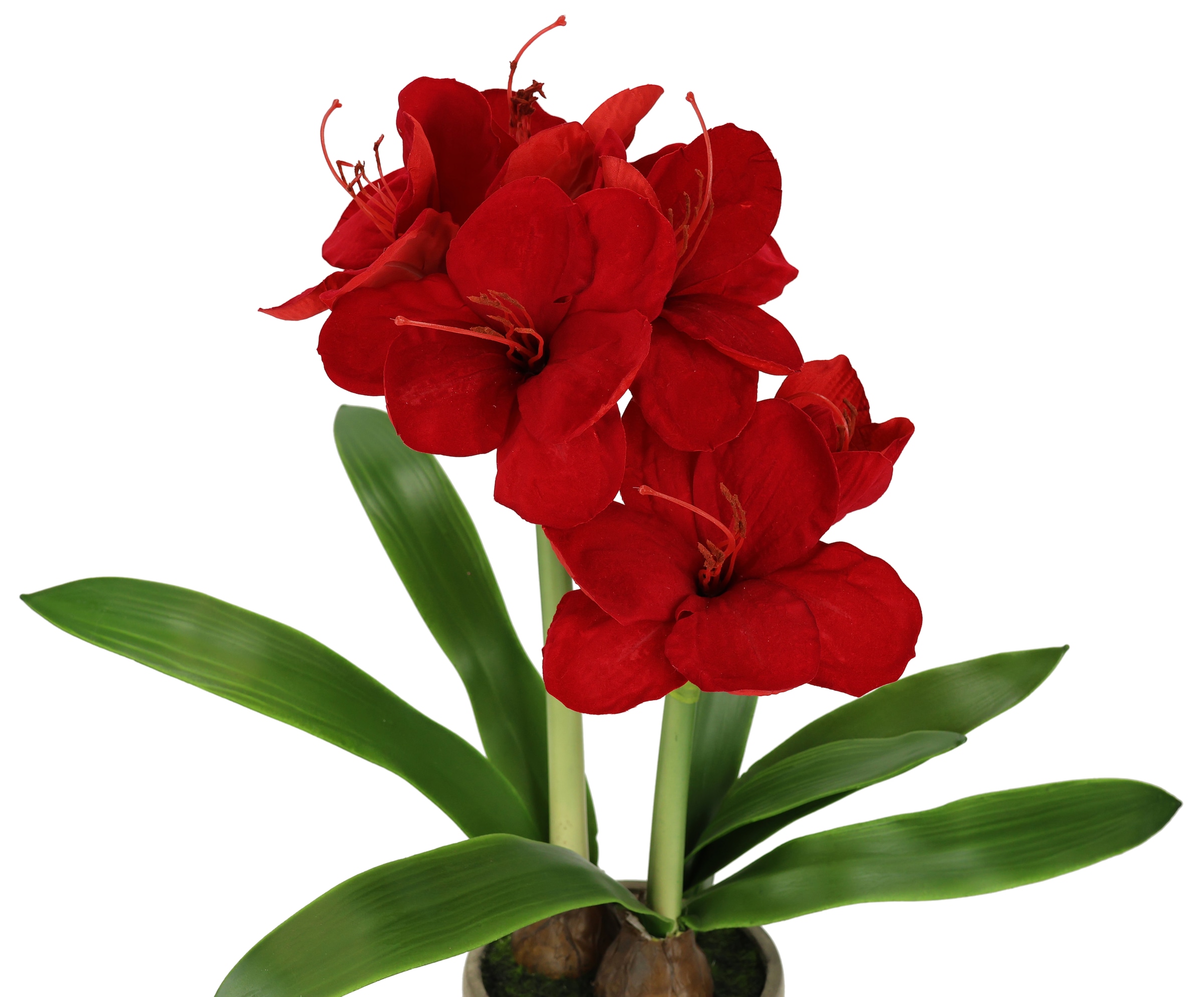 Kunstblume »Amaryllis im Topf«, 50cm Blume Weihnachtsblume Weihnachtsdeko Winterblume...