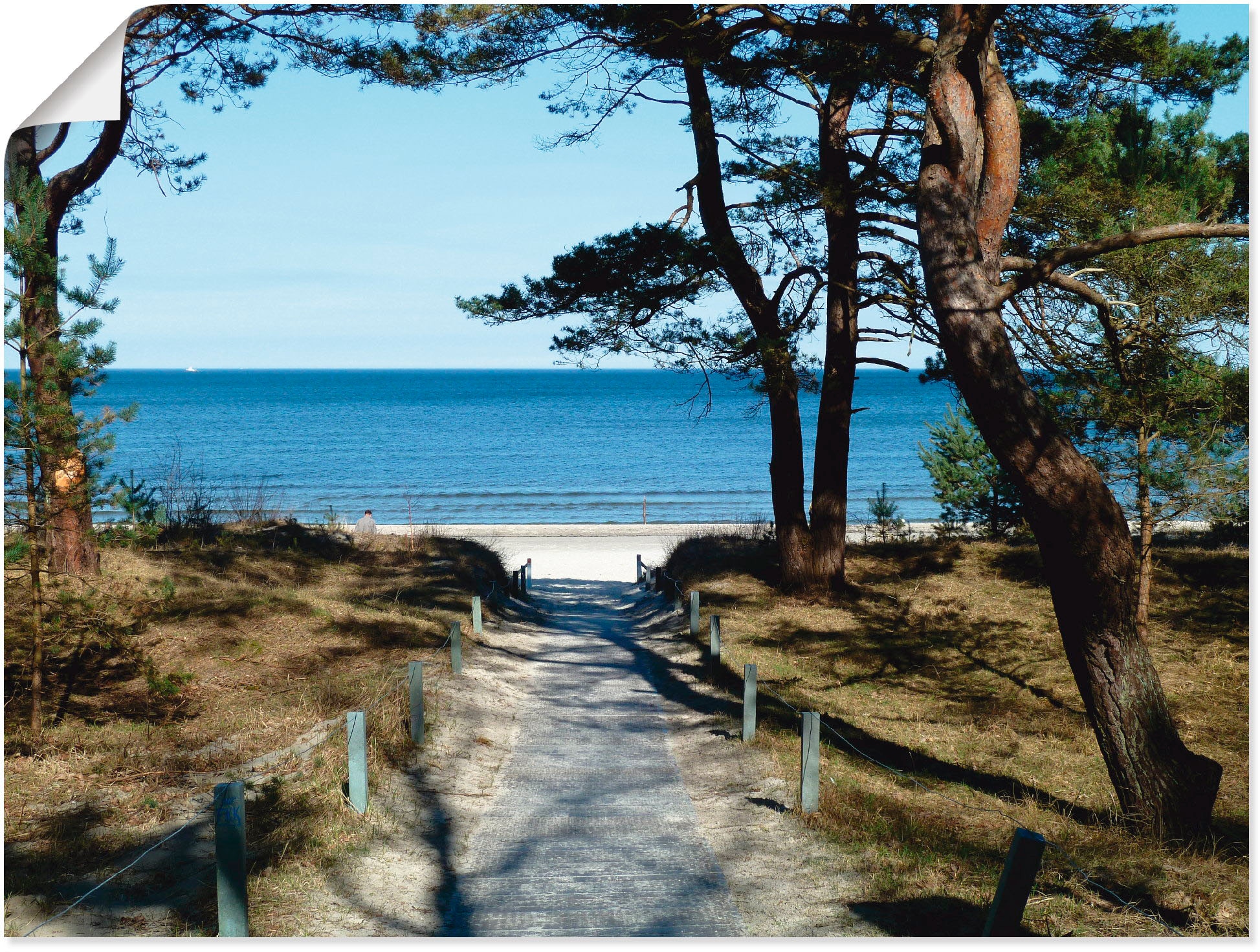 Artland Wandbild »schöne Ostseeküste«, Gewässer, oder als (1 Wandaufkleber St.), versch. kaufen Leinwandbild, Größen Poster in BAUR 