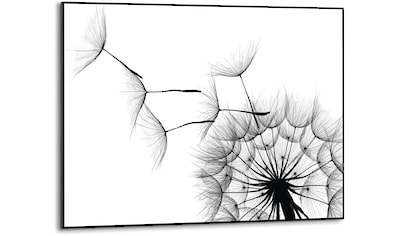Reinders! Wandbild »Slim Frame Black 50x70 Dandelion« kaufen
