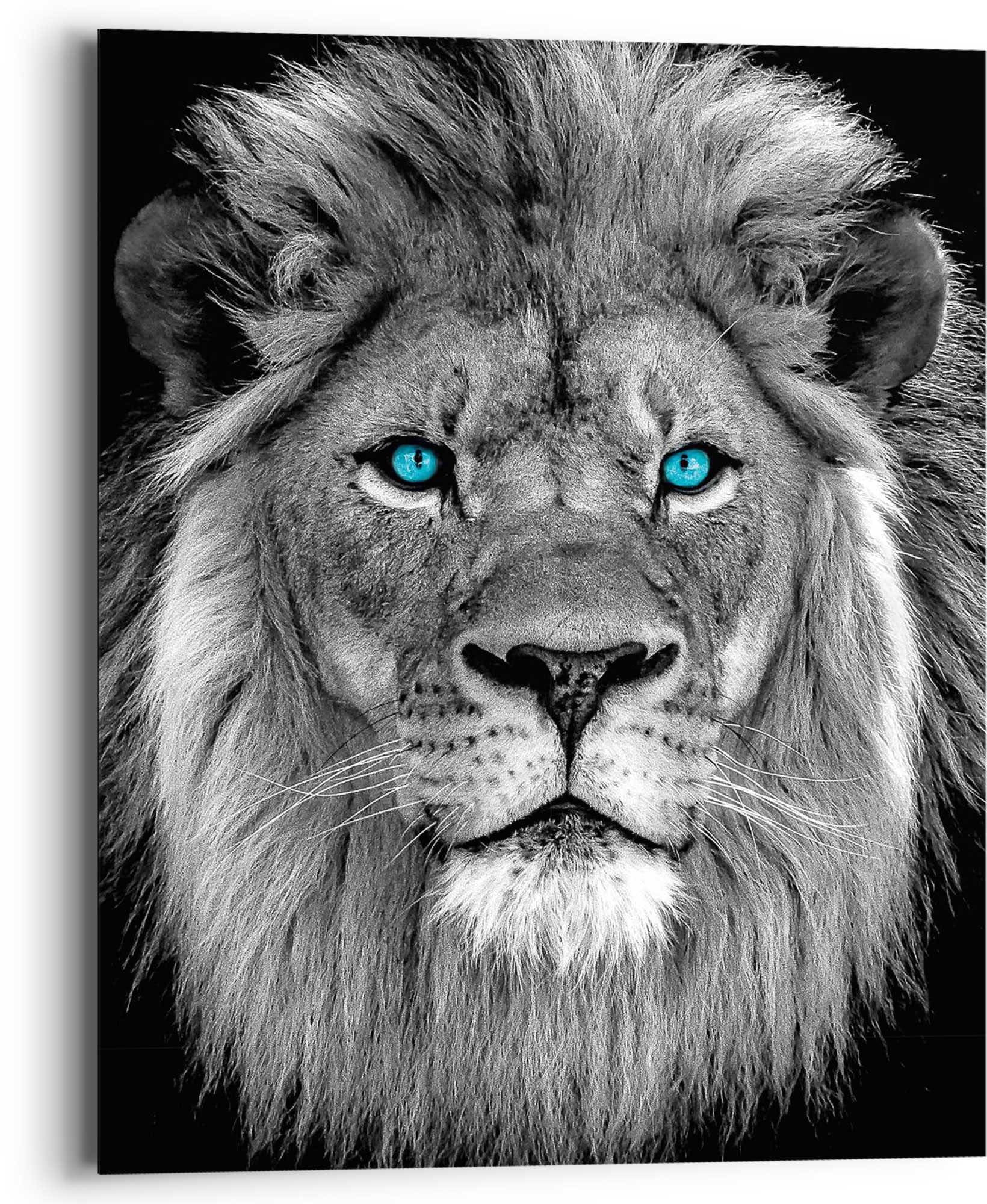 Reinders! Wandbild »Löwe mit blaue Augen« kaufen | BAUR | Kunstdrucke