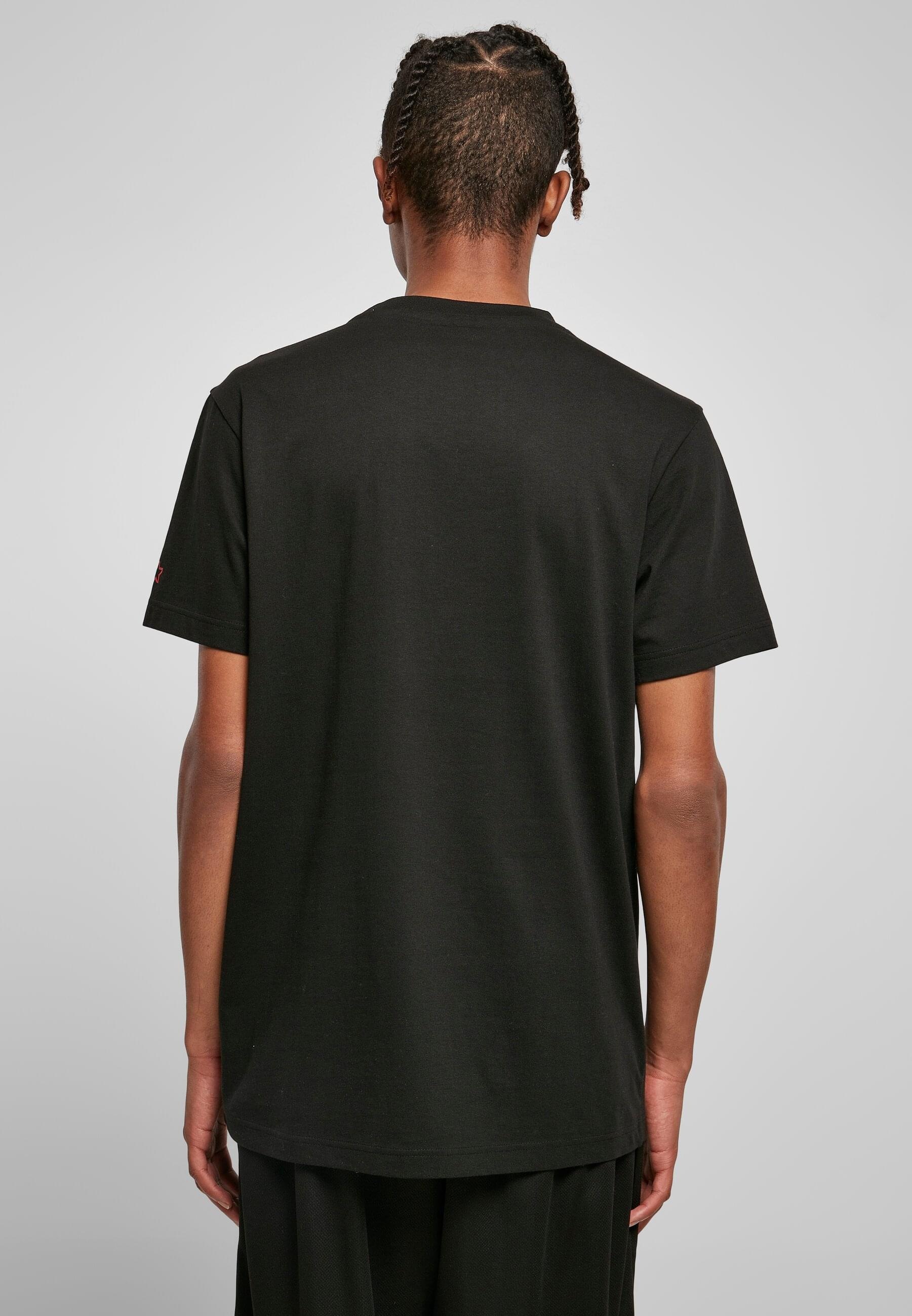 Starter Black Label T-Shirt »Starter Black Label Herren Starter Swing Tee«, (1 tlg.)