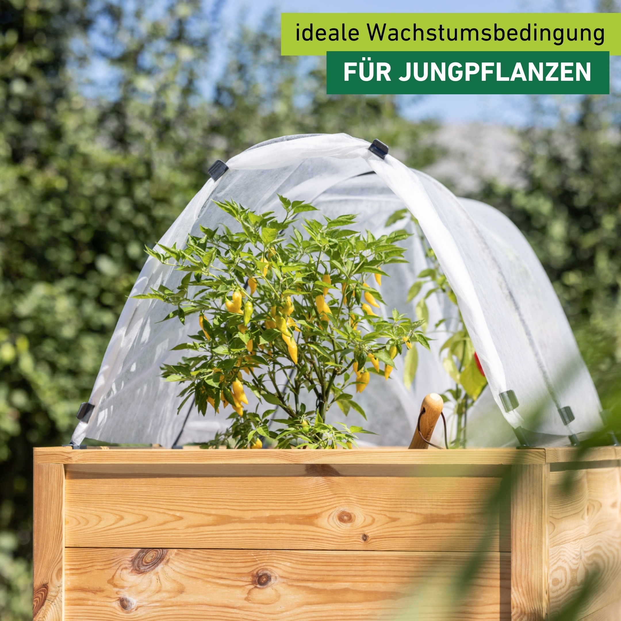 Windhager Hochbeet »Tunnelbogen Komplettset, Insektenschutz und Wachstumsvlies« Pflanztunnel für Frühbeet, wachstumsfördernd, 4 x 2 m, weiß