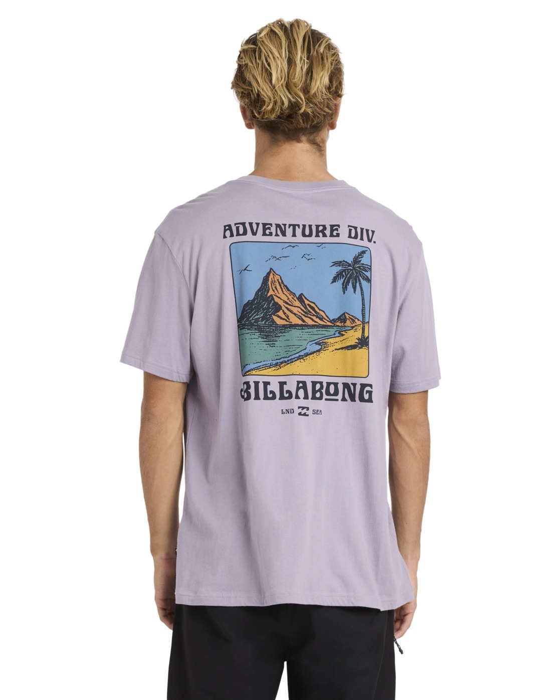 Billabong T-Shirt "Post Cards A/DIV Premium" günstig online kaufen