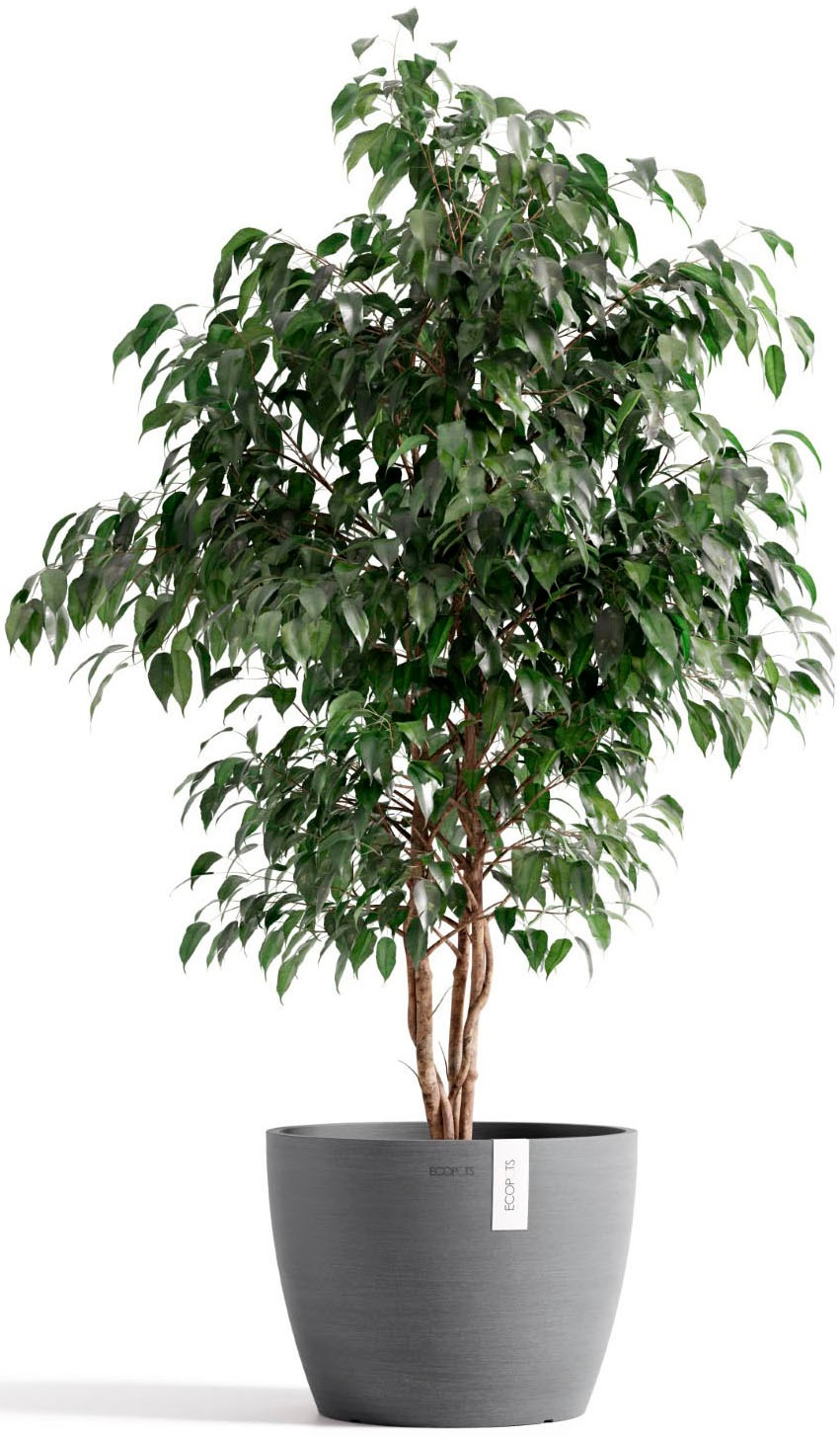 ECOPOTS Blumentopf »Stockholm 31 Grau« für innen und außen: frostsicher, bruchsicher und lichtbeständig