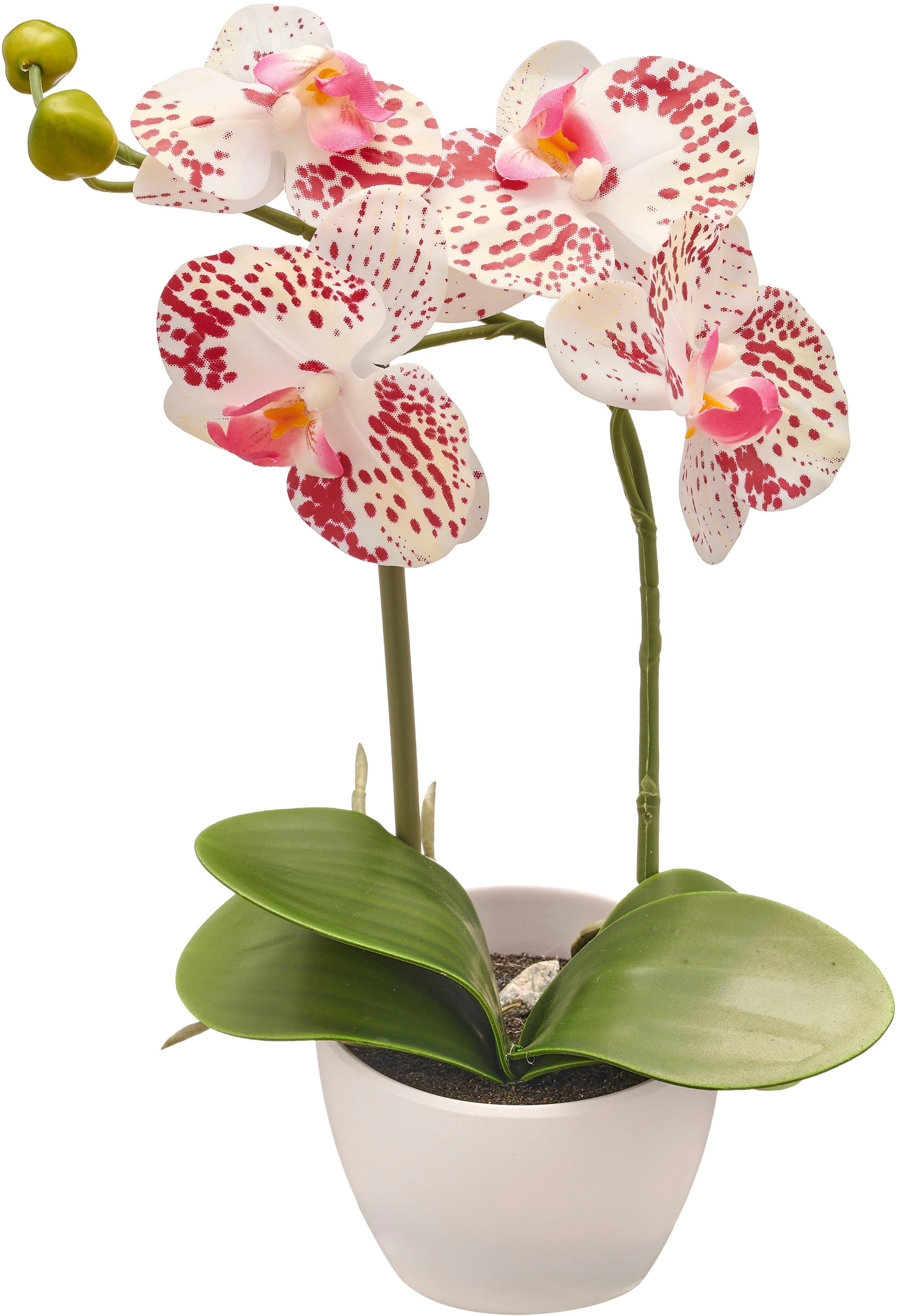 Creativ green Kunstorchidee »Orchidee Phalaenopsis«, im Design-Topf
