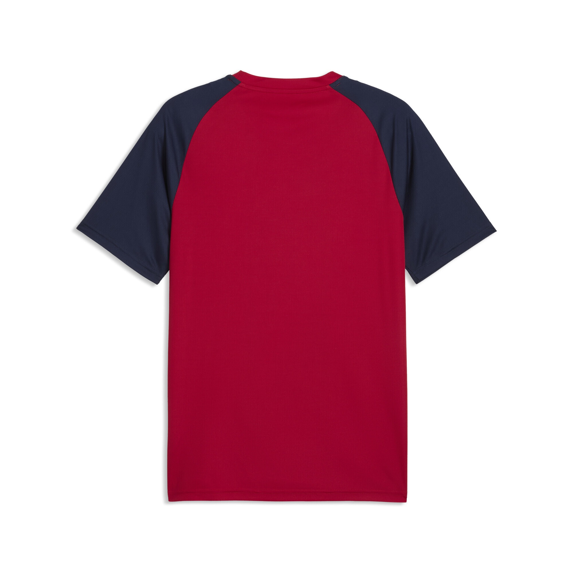 PUMA Trainingsshirt »Tschechien Aufwärmtrikot Herren«