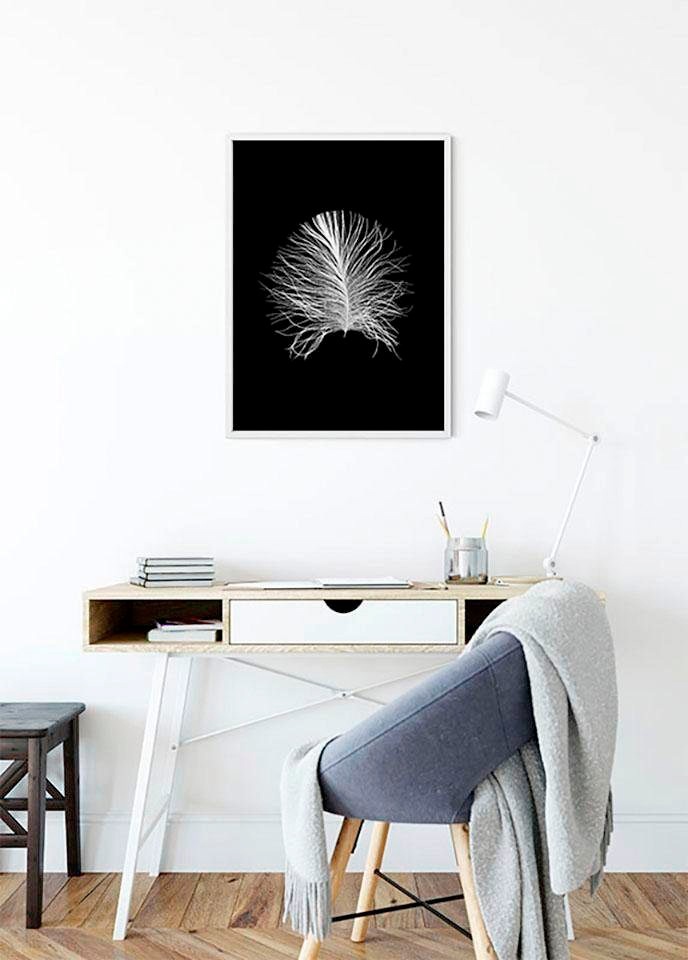 Komar Bild »Feather Black«, Federn, (1 St.), Wandbild zur Dekoration - ohne Rahmen