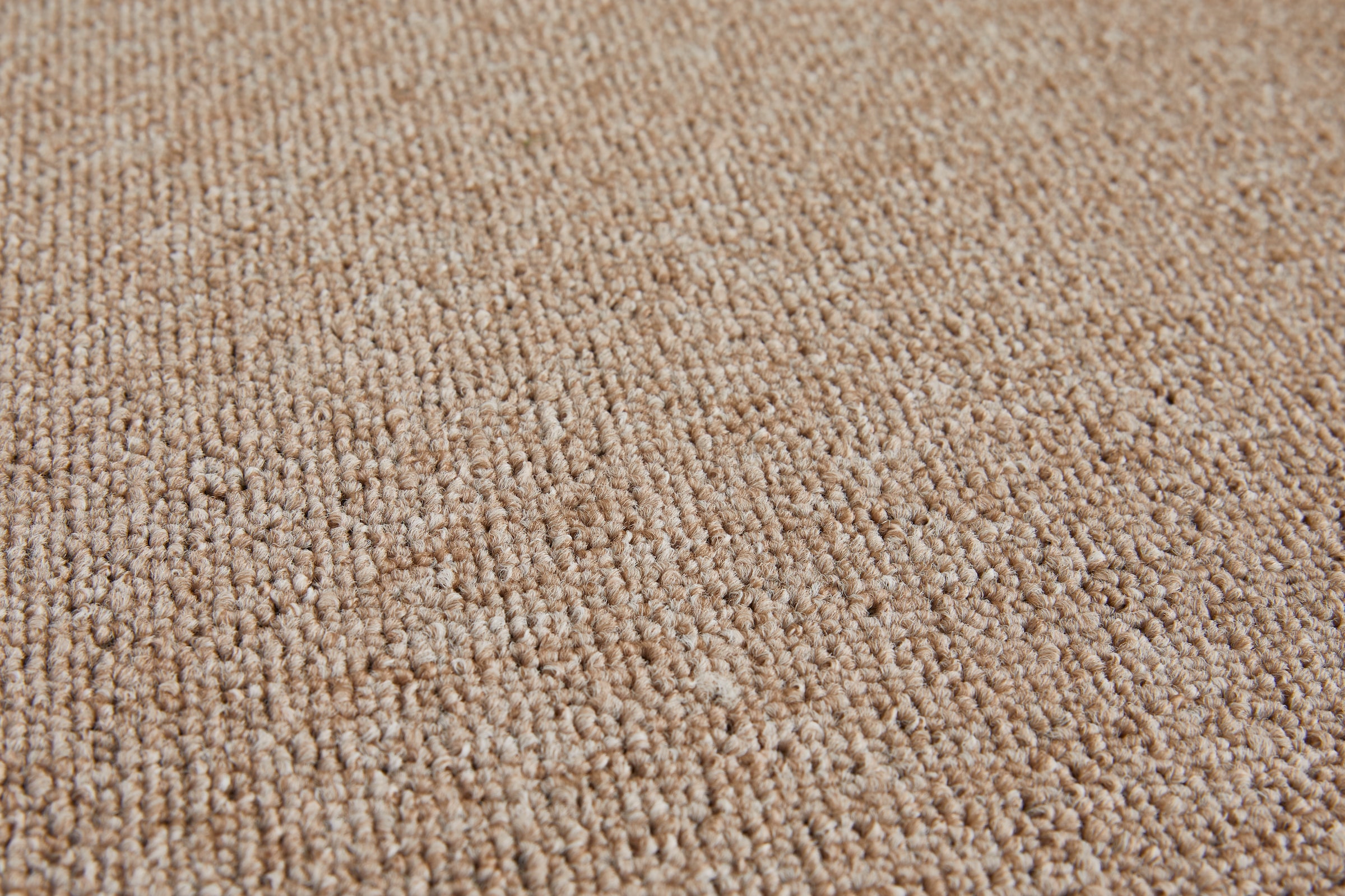 my home Teppichboden »Benno, Schlinge, Made in Netherlands«, rechteckig, 0,45 mm Höhe, Breite 200, 400 und 500 cm, robust, pflegeleicht, langlebig