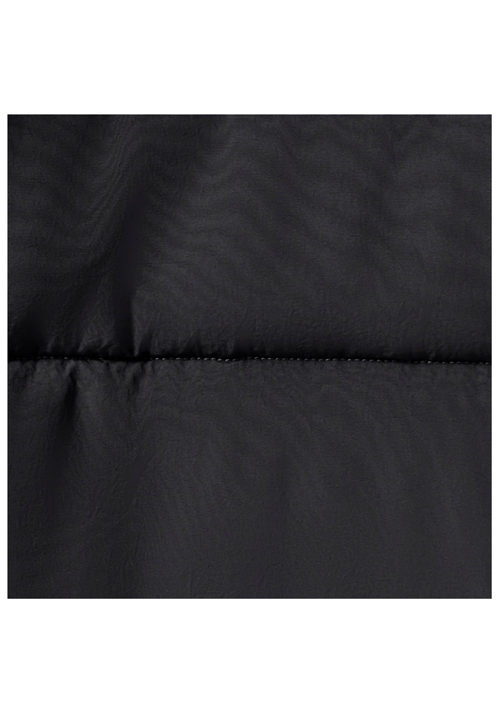 Jack Wolfskin Winterjacke »NORTHERN LITE JKT W«, ohne Kapuze