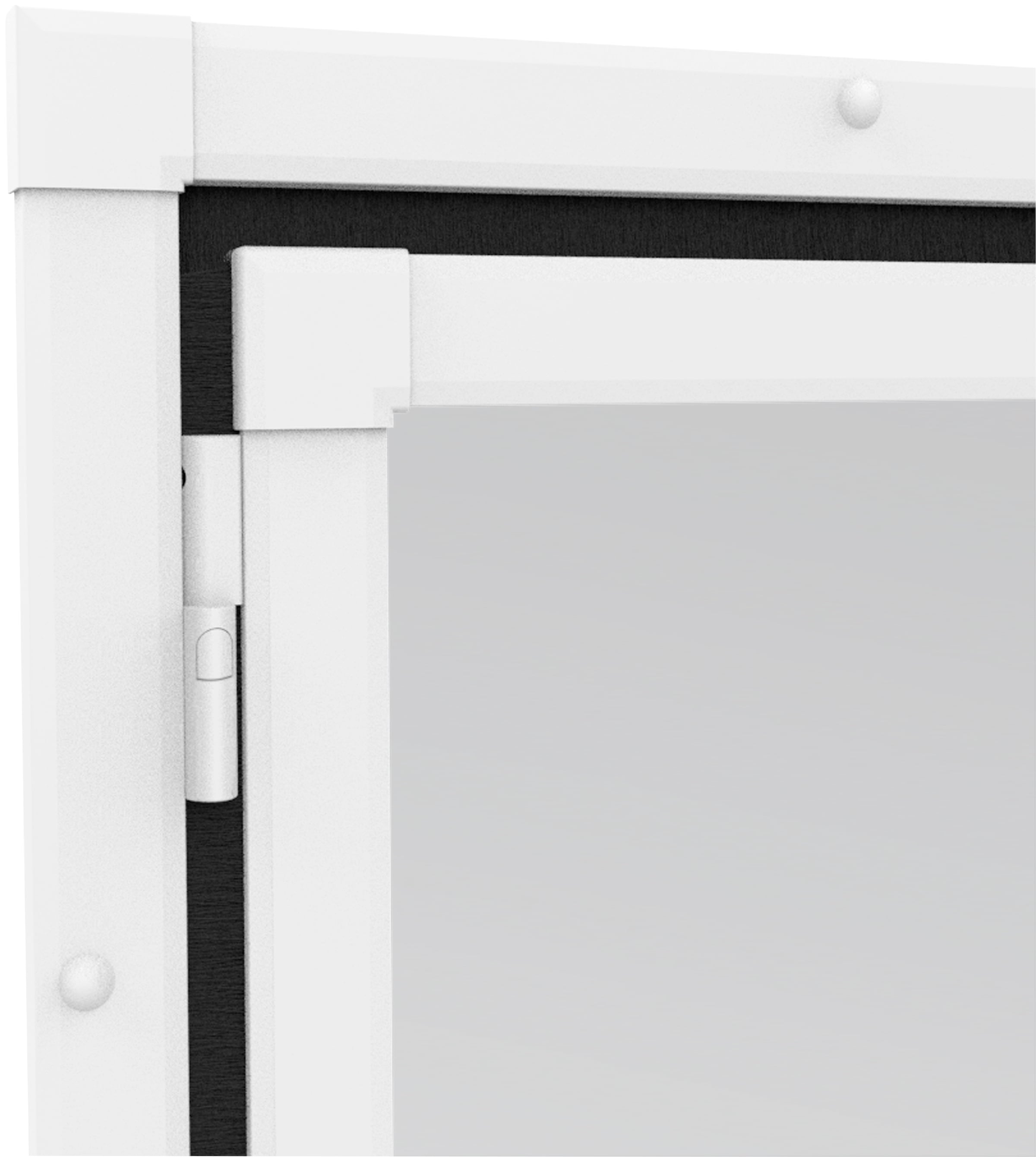 Windhager Insektenschutz-Tür »Pendeltür«, BxH: 100x210 cm, kürzbar