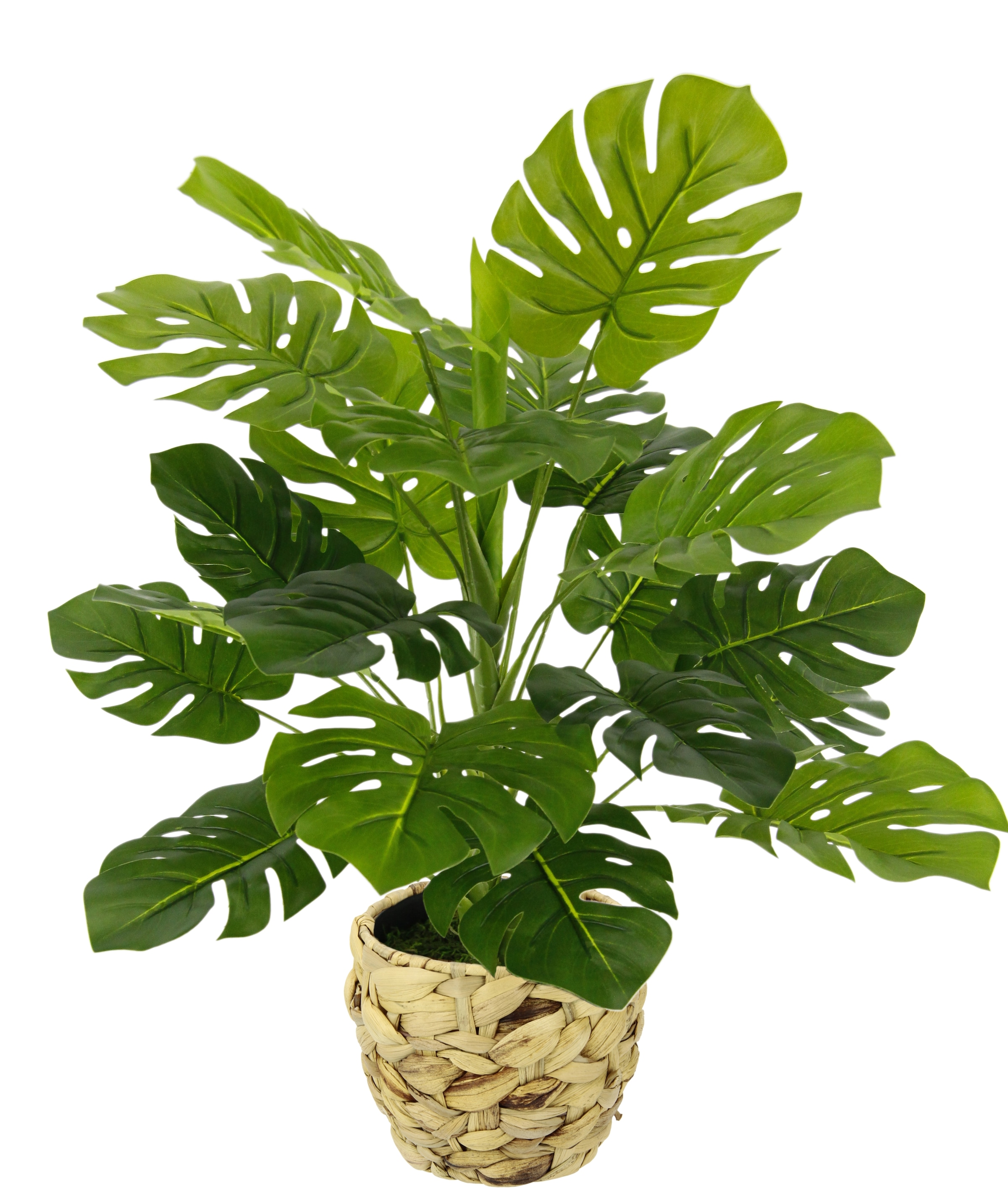 I.GE.A. Kunstpflanze "Monstera", Mit Übertopf künstlicheSplitphilo-Pflanze günstig online kaufen