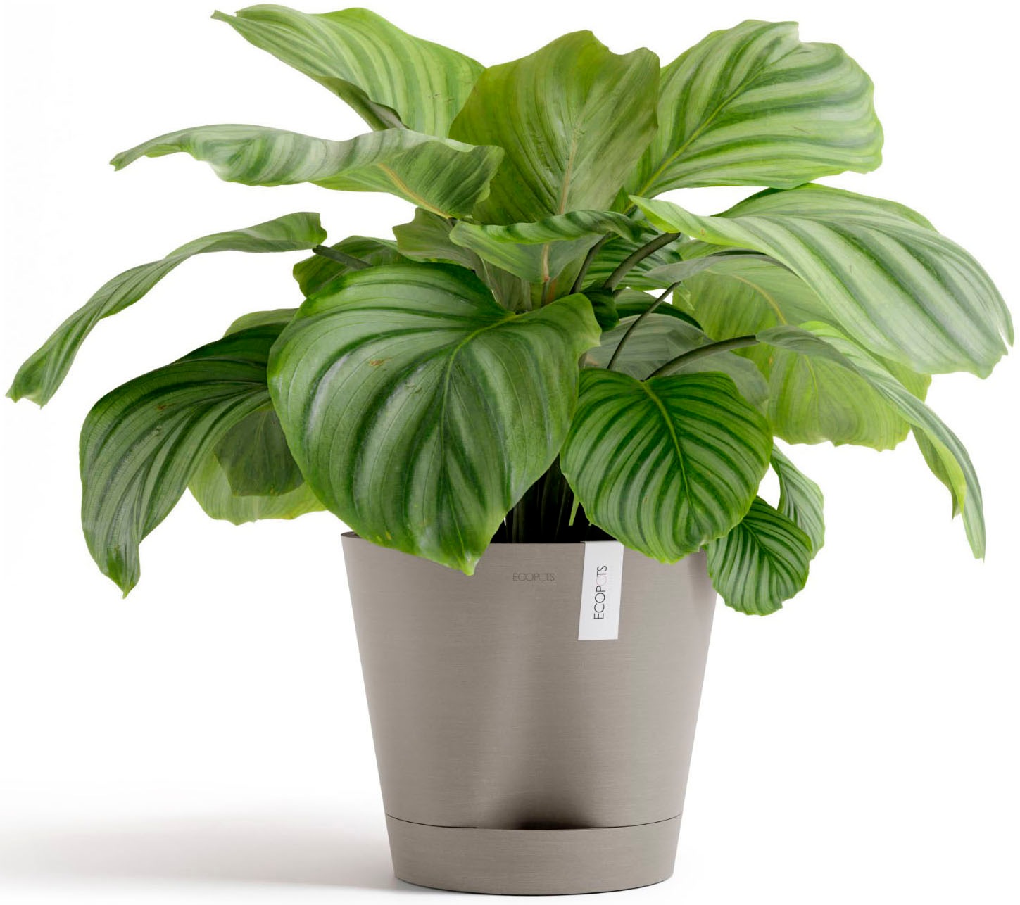 ECOPOTS Blumentopf »Venice 2 30 Taupe« für den Innenbereich