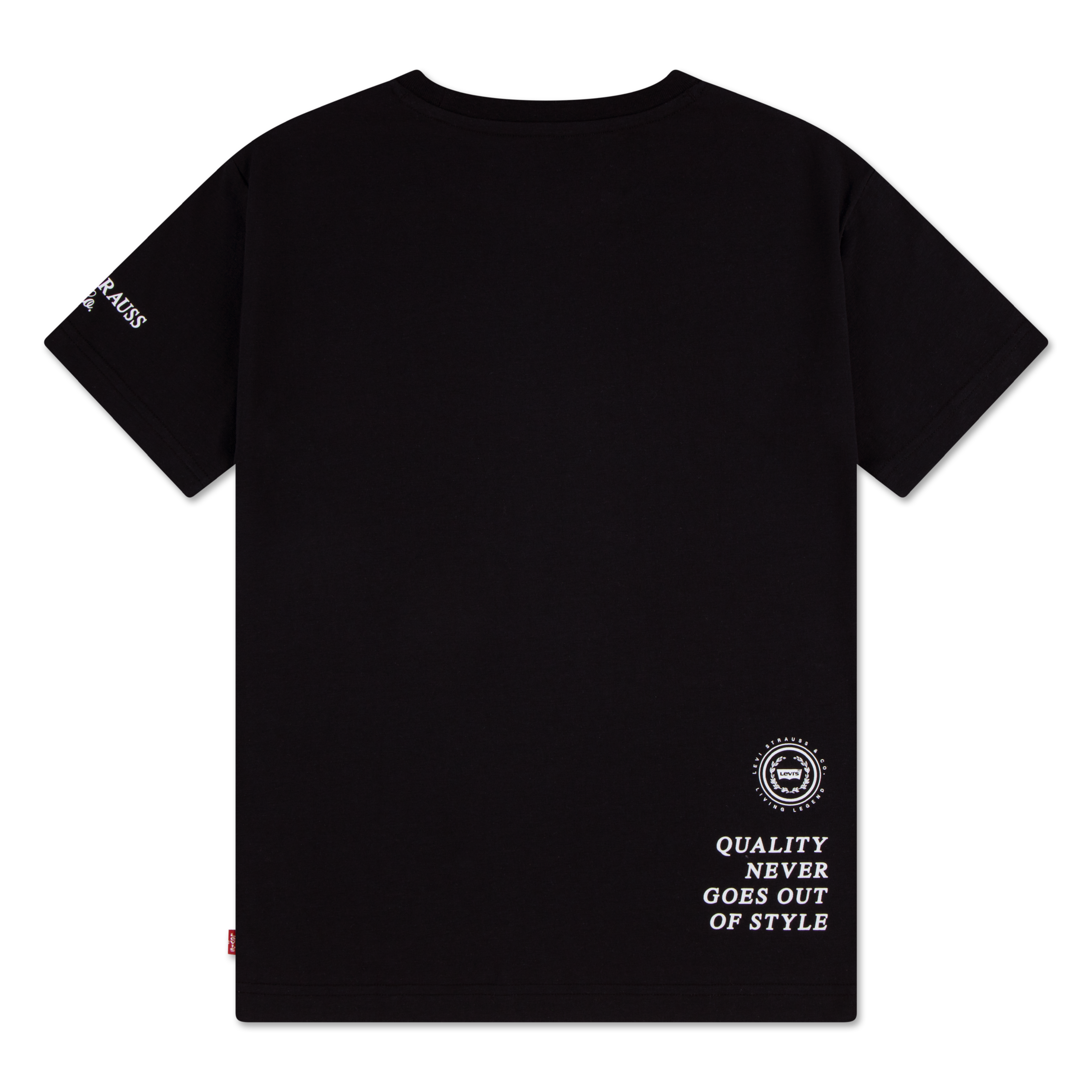 Levi's® Kids T-Shirt »LVB URBAN PREP TEE« for Boys, mit Stickerei und Print