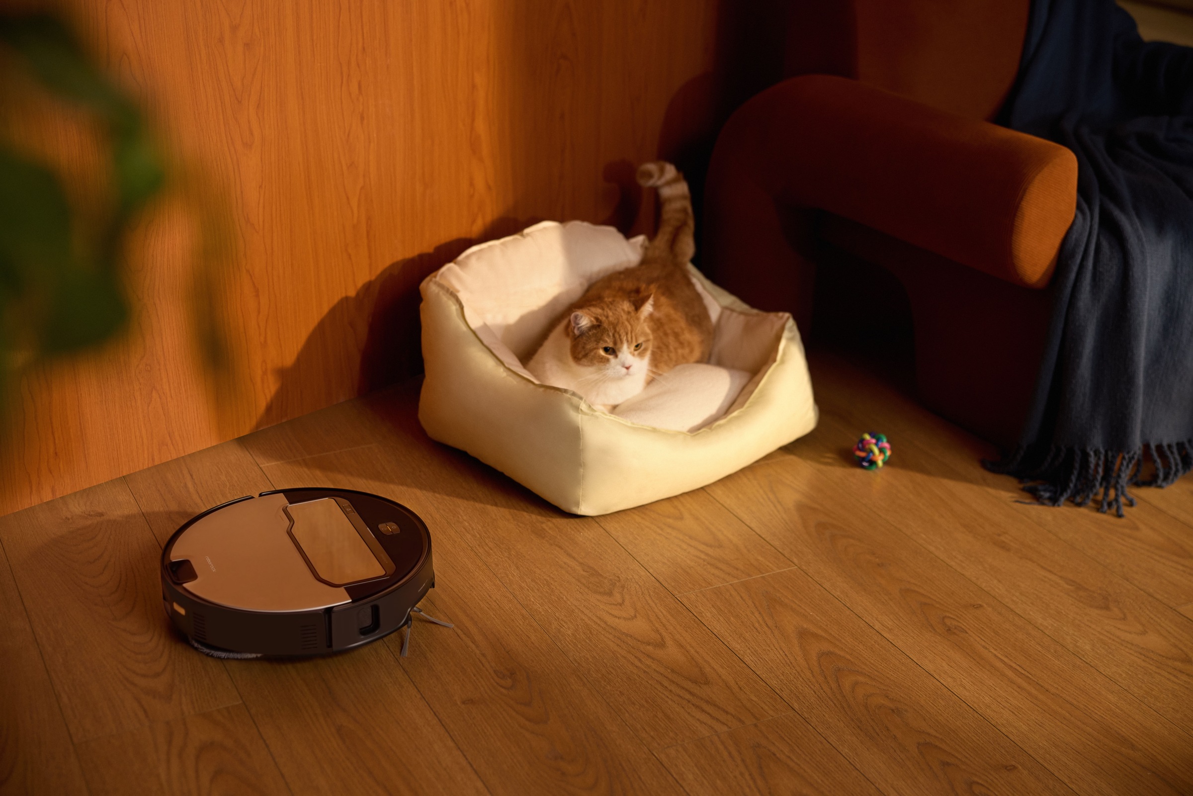 Roborock Saugroboter "Roborock Saros Z70 R&D system mit Wischfunktion" günstig online kaufen