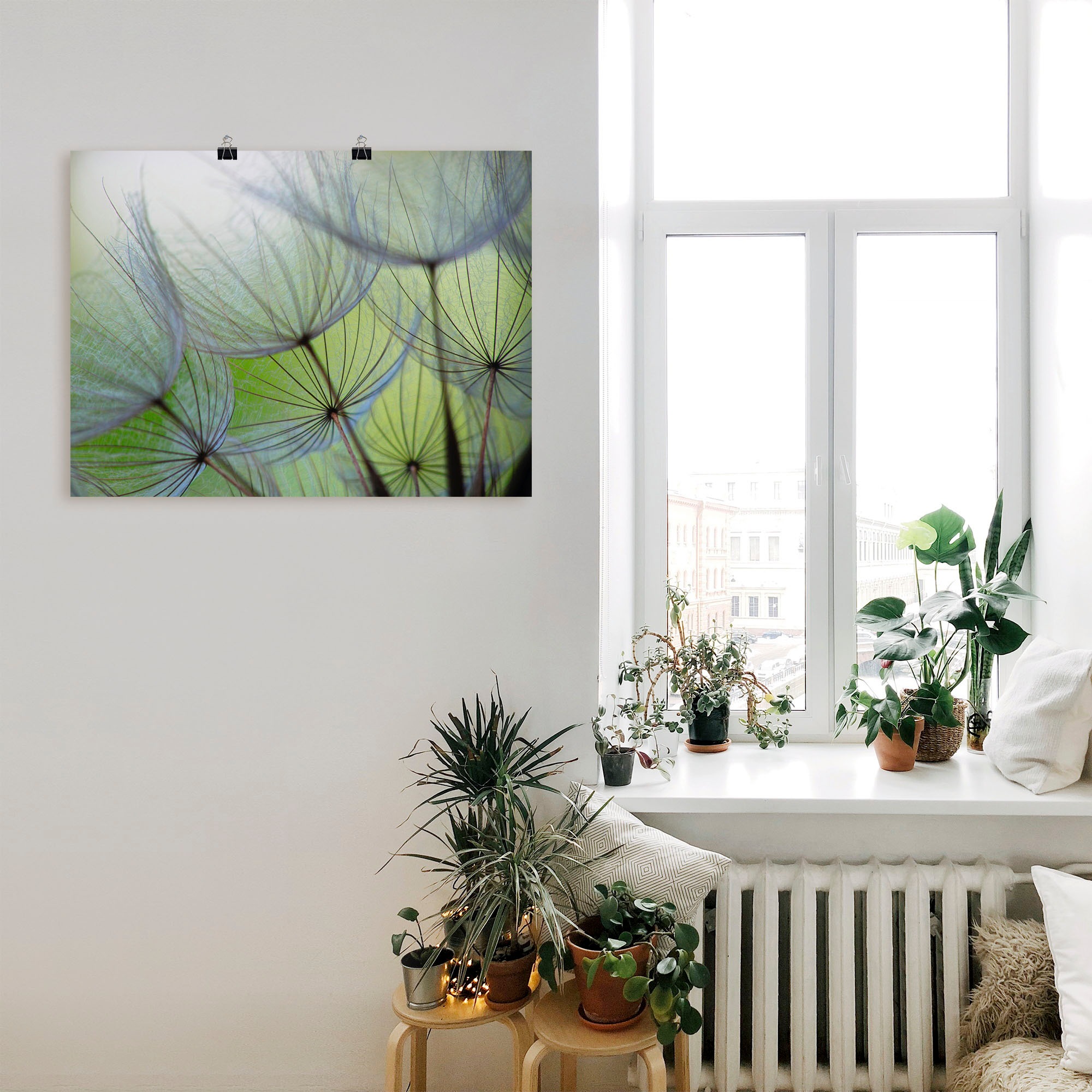 Artland Wandbild »Pusteblumen-Samen II«, Blumen, (1 St.), als Leinwandbild, Poster in verschied. Größen