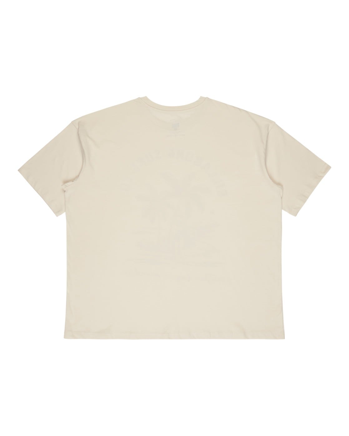 Billabong T-Shirt »This Is Tropica«