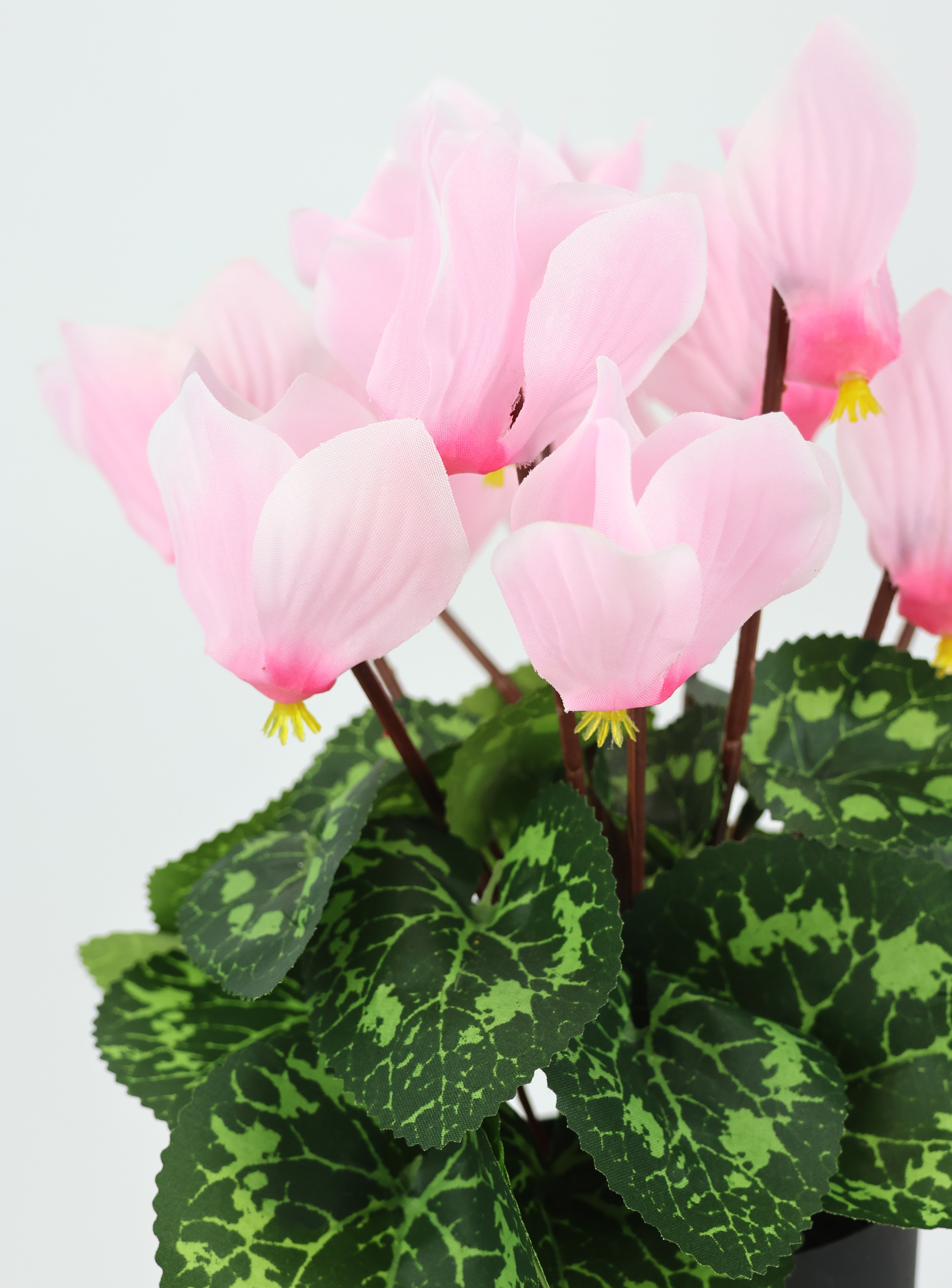 I.GE.A. Kunstblume »Alpenveilchen im Topf«, Künstliche Blume Dekopflanze Kunstpflanze Pflanze Primeln Seidenblume