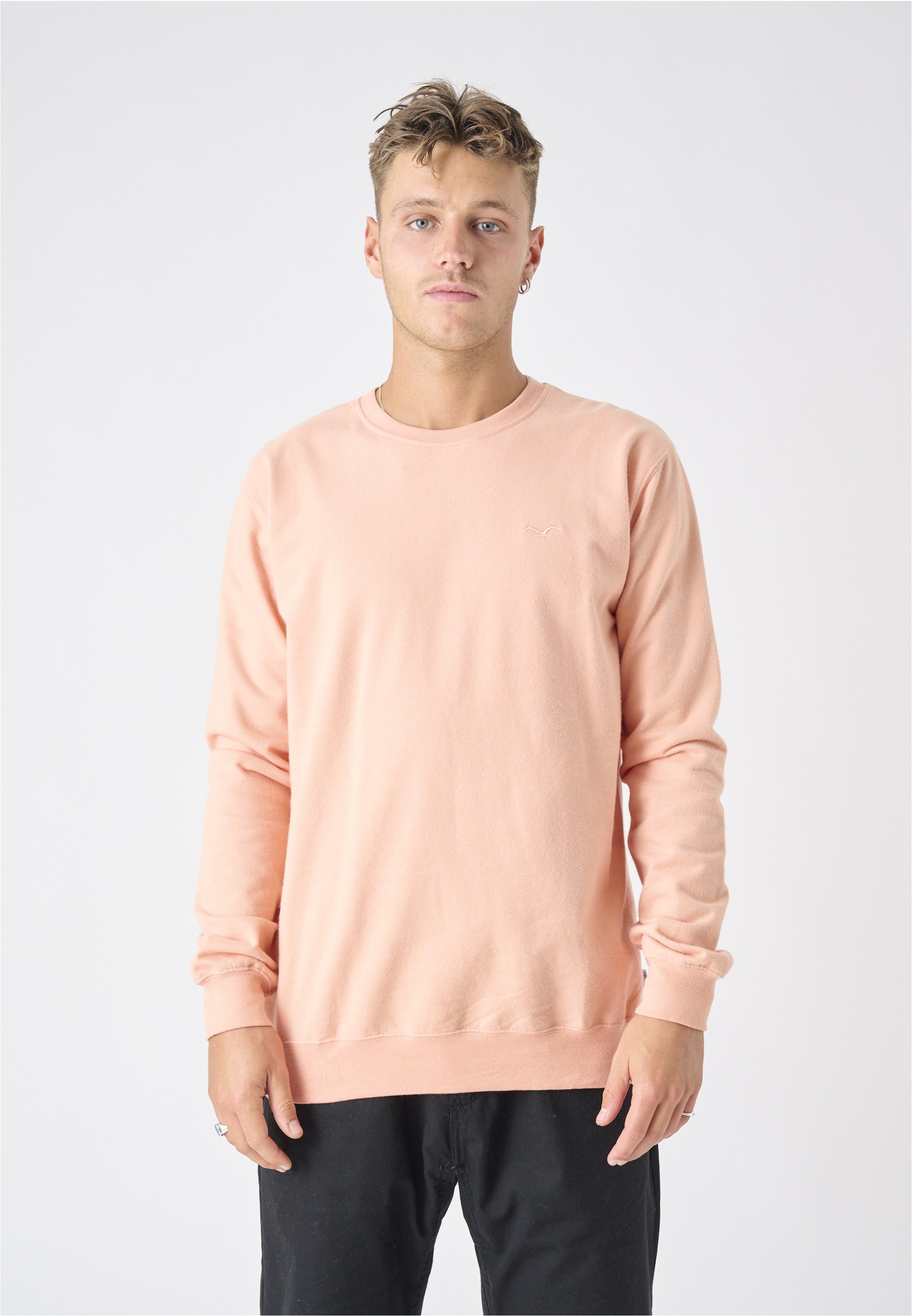 Cleptomanicx "Ligull", mit kleiner Möwen-Stickerei günstig online kaufen