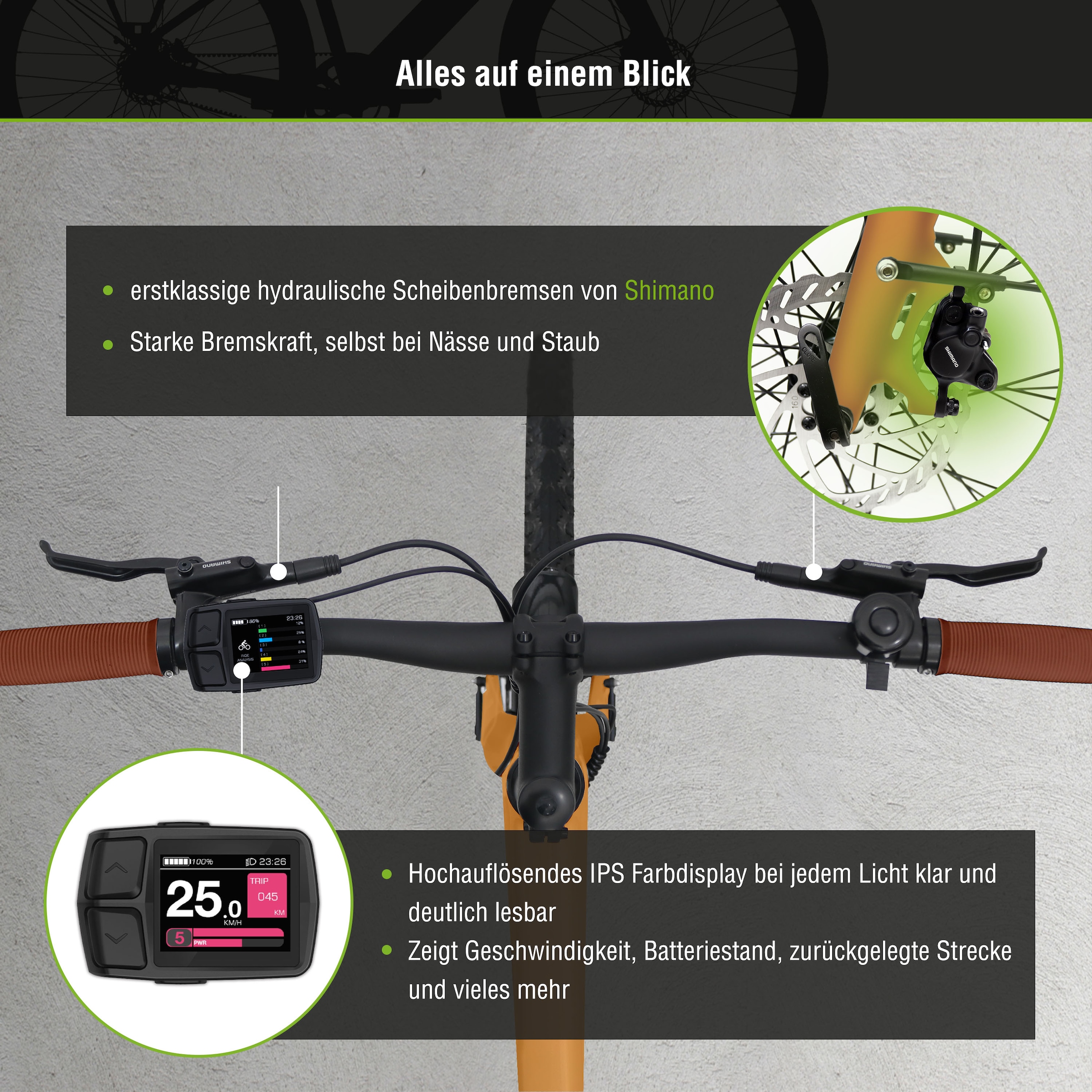 SachsenRad E-Bike »C3T«, 1 Gang, Shimano, keine, Heckmotor 250 W