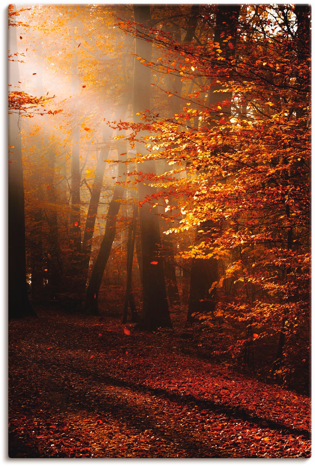 Artland Wandbild "Sonnenaufgang im Herbst", Wald, (1 St.), als Leinwandbild, Poster in verschied. Größen