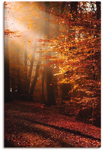 Artland Paveikslas »Sonnenaufgang im Herbst« W...
