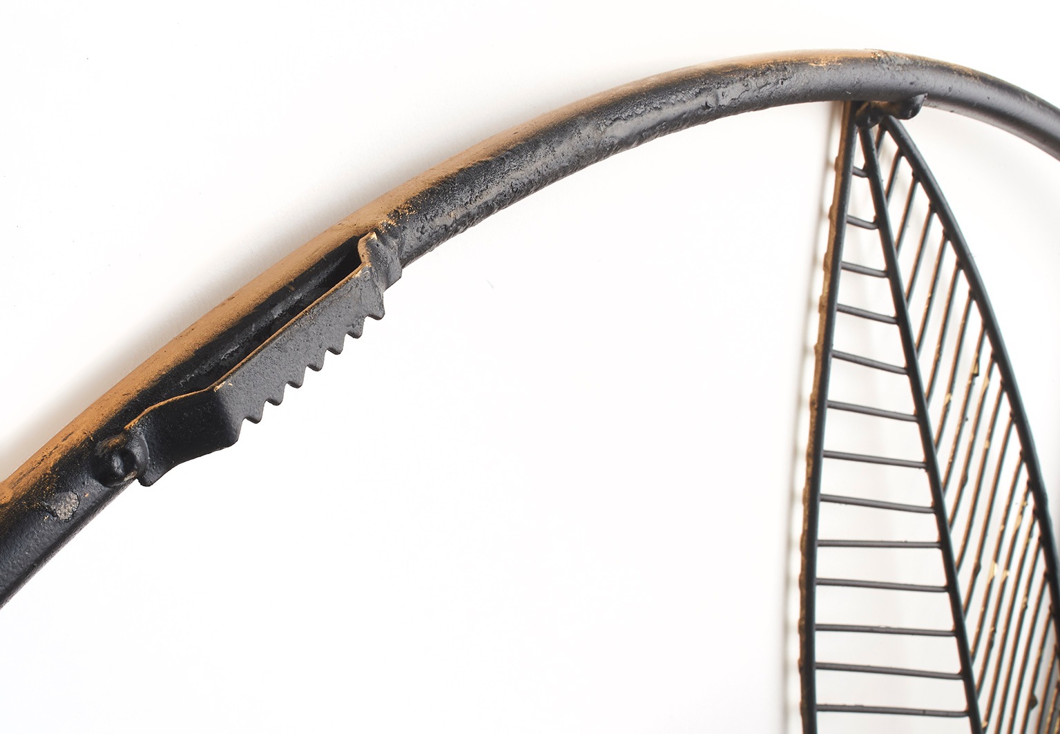 locker Wanddekoobjekt "Wandbild FOGLIA" günstig online kaufen