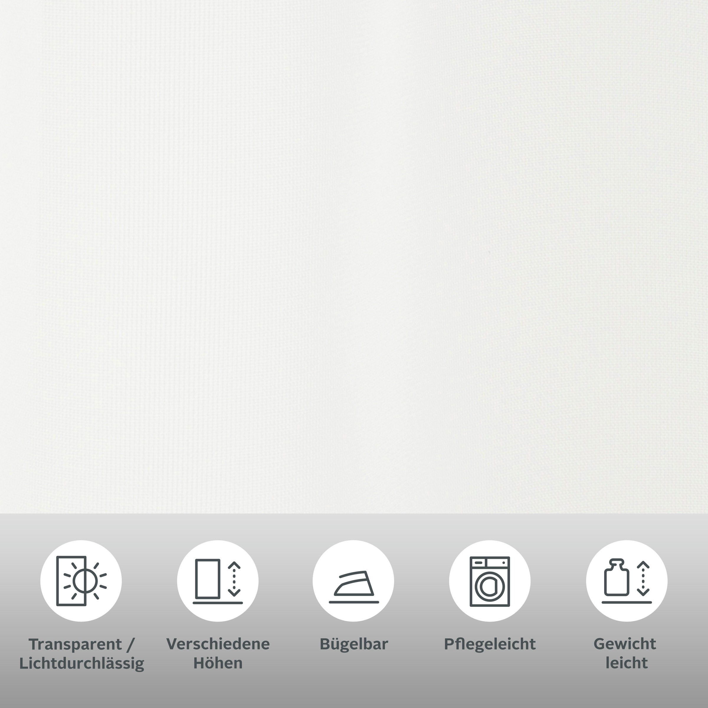 my home Scheibengardine "EBY" Schlaufen 1 Stk. tlg. Fertiggardine, mit eins günstig online kaufen