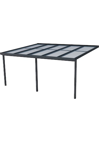 GUTTA Terrassendach »Premium« BxT: 510x406 c...