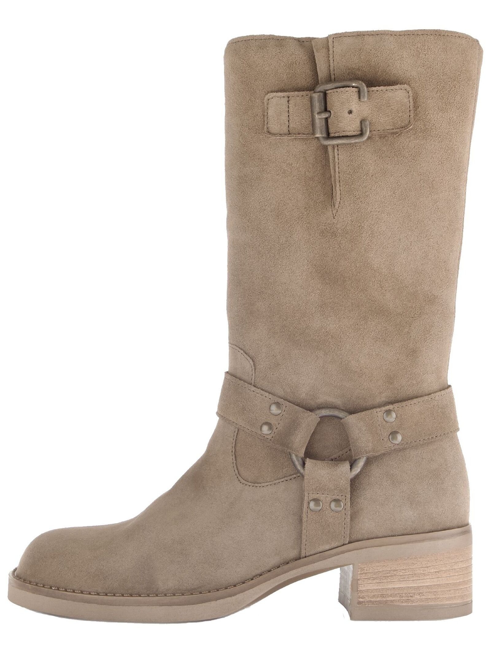 Gabor Stiefel "Gabor Stiefel Veloursleder" günstig online kaufen