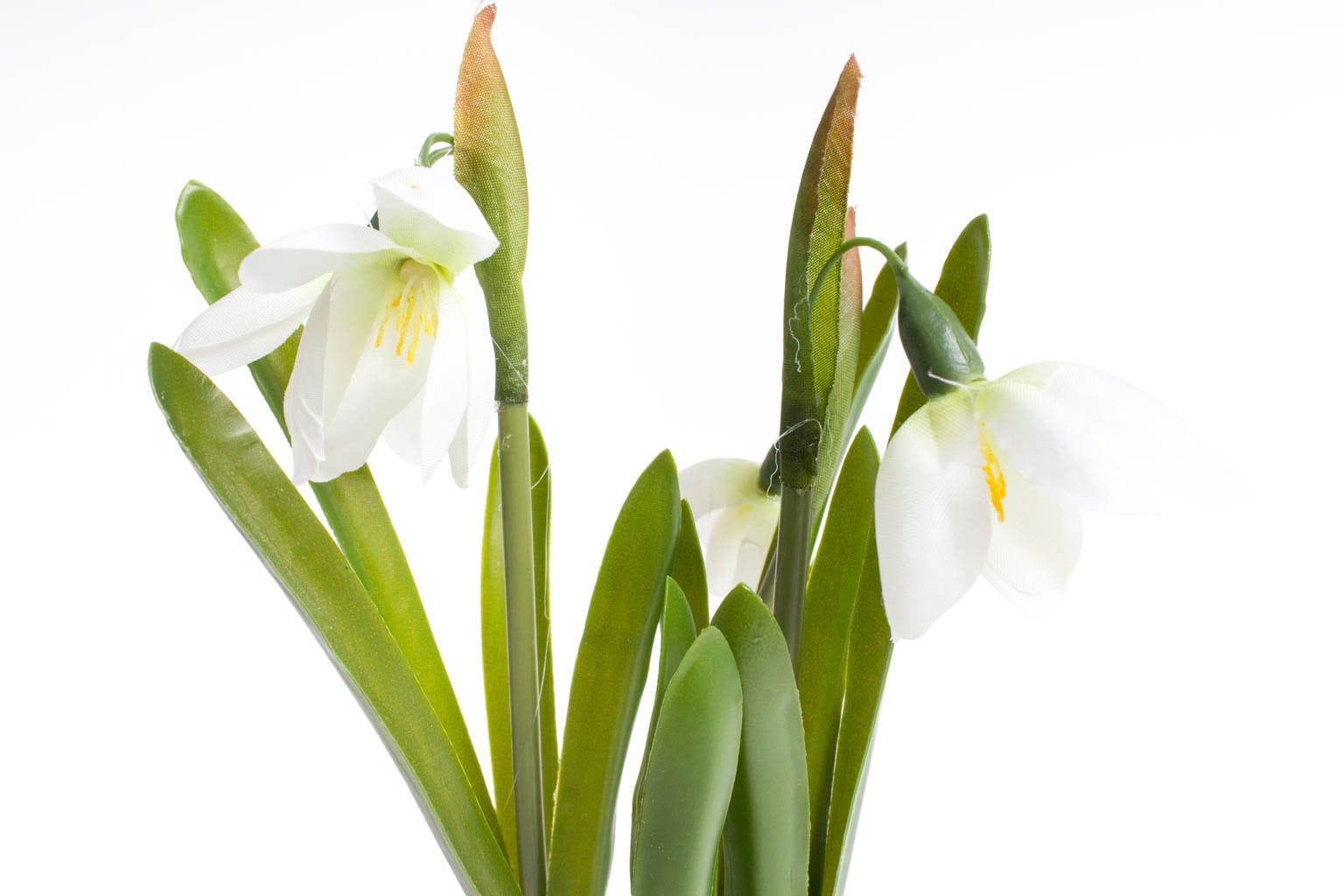 Botanic-Haus Kunstblume "Schneeglöckchen im Glas" günstig online kaufen