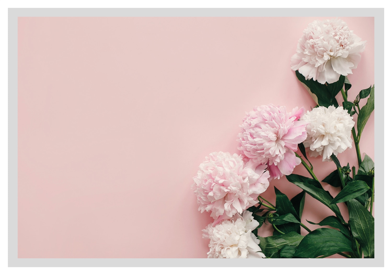 queence Bild »Gunda«, Blumen, Rosen, gerahmt