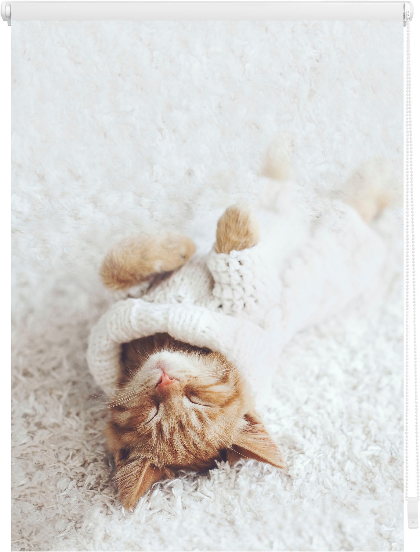 Seitenzugrollo »Klemmfix Digital Sleepy Cat«, verdunkelnd, energiesparend, ohne...