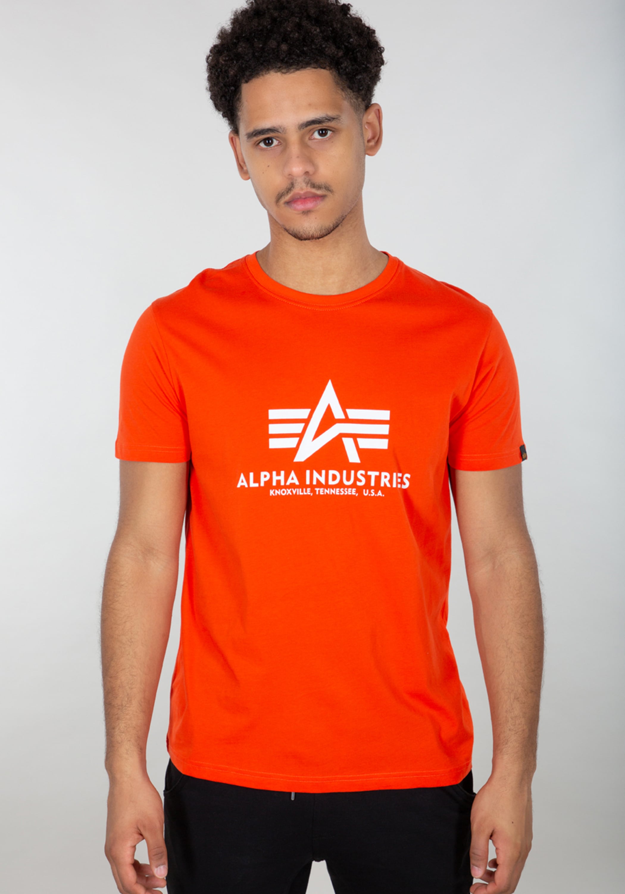 Alpha Industries T-Shirt "Alpha Industries Men - T-Shirts Basic T-Shirt" günstig online kaufen