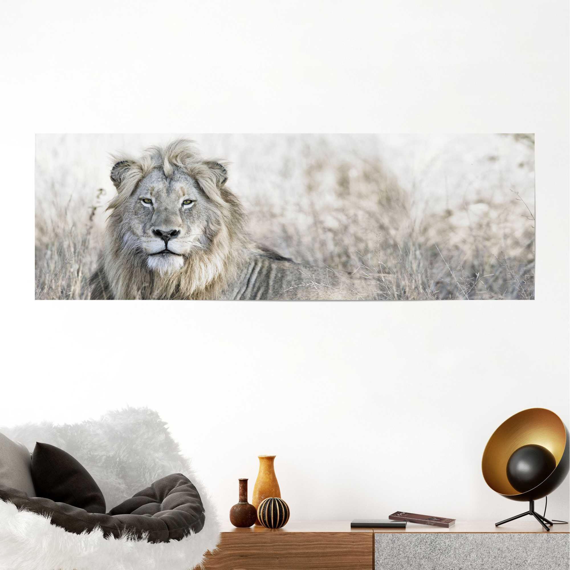 Reinders Poster "Löwe", (1 St.) günstig online kaufen