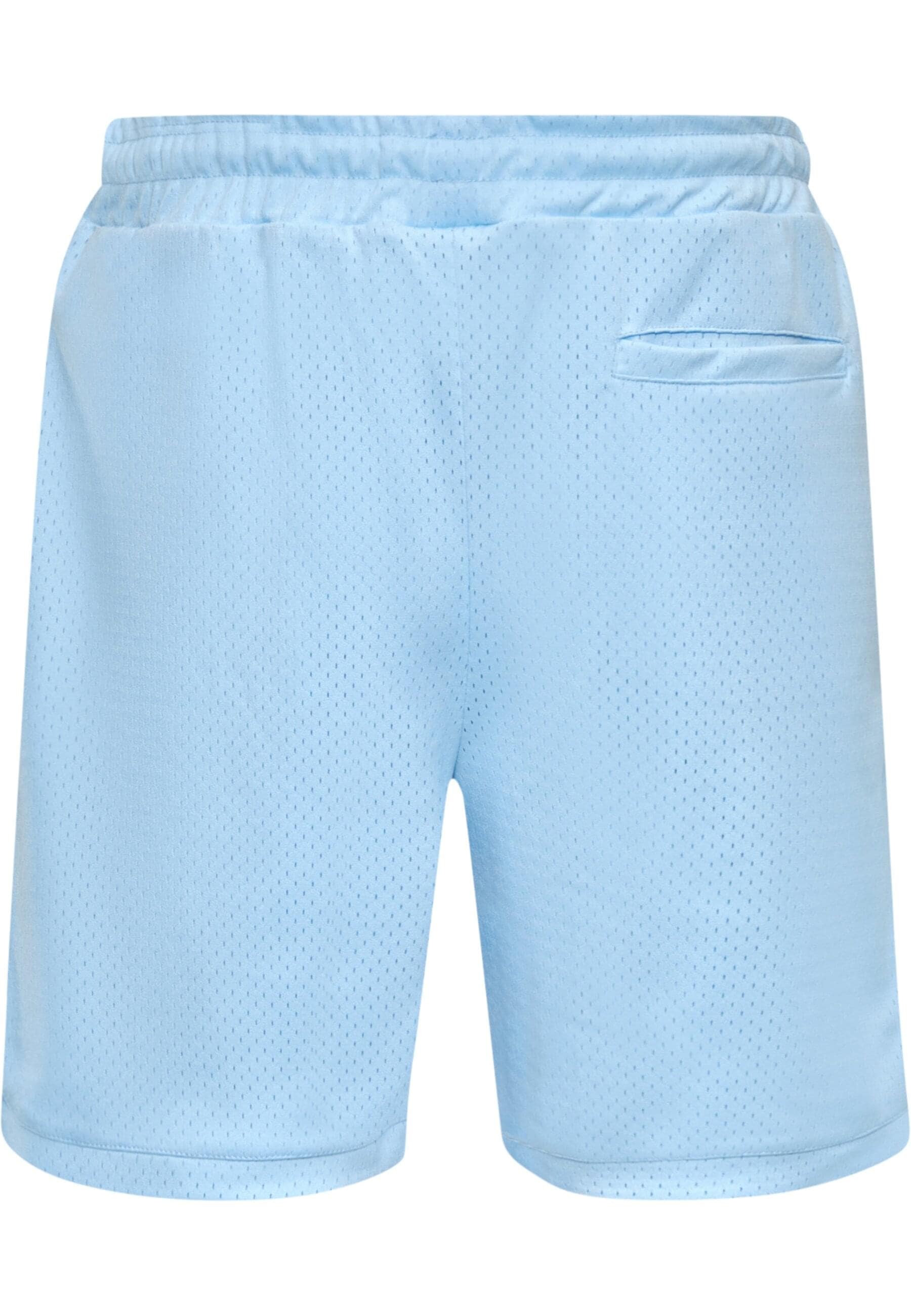 Dropsize Shorts »Dropsize Herren Dropsize V2 Mesh Shorts«, (1 tlg.)