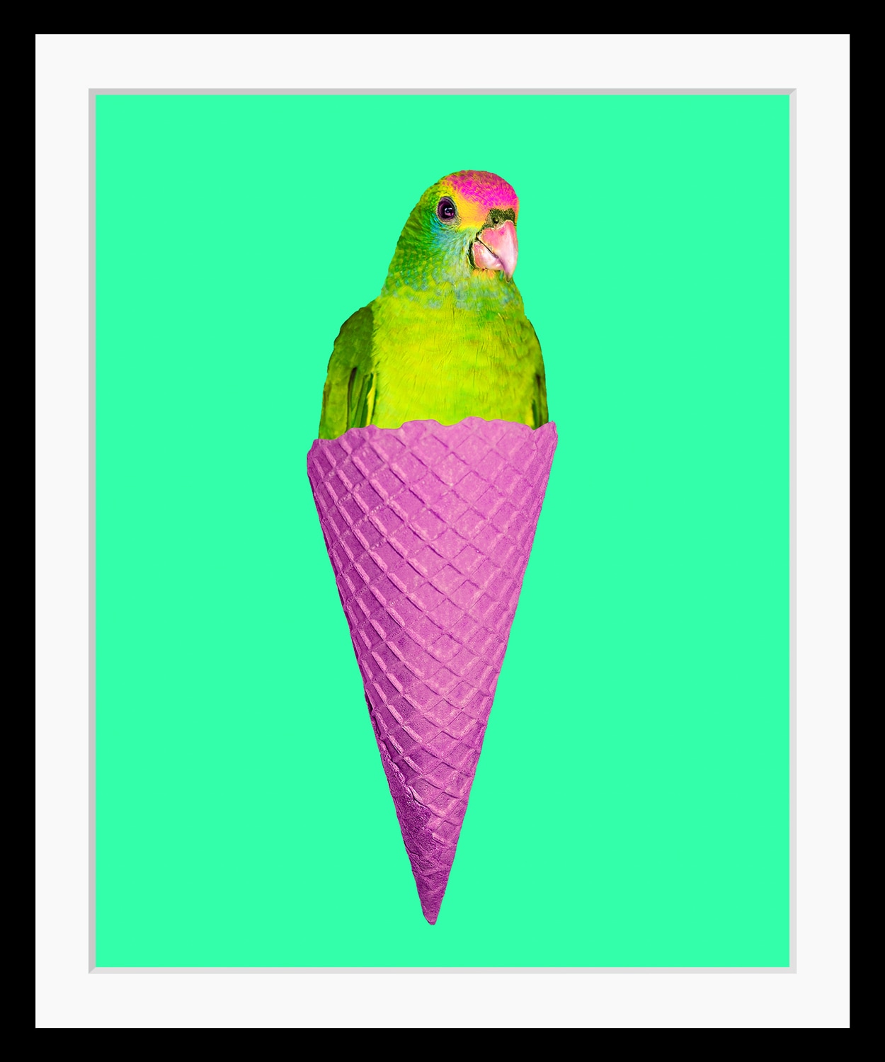 queence Bild »Merle«, Eis-Vögel-Vogelbilder-Süßigkeiten-Süßspeisen-Foto-Kunst-Papageien, HD Premium Poster-Druck inkl. Holzrahmen