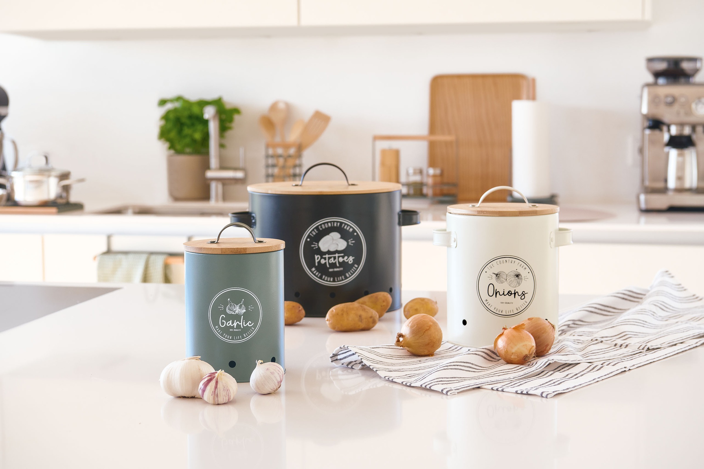 Zeller Present Vorratsdose "Retro" Set, 3 Stk. tlg. günstig online kaufen
