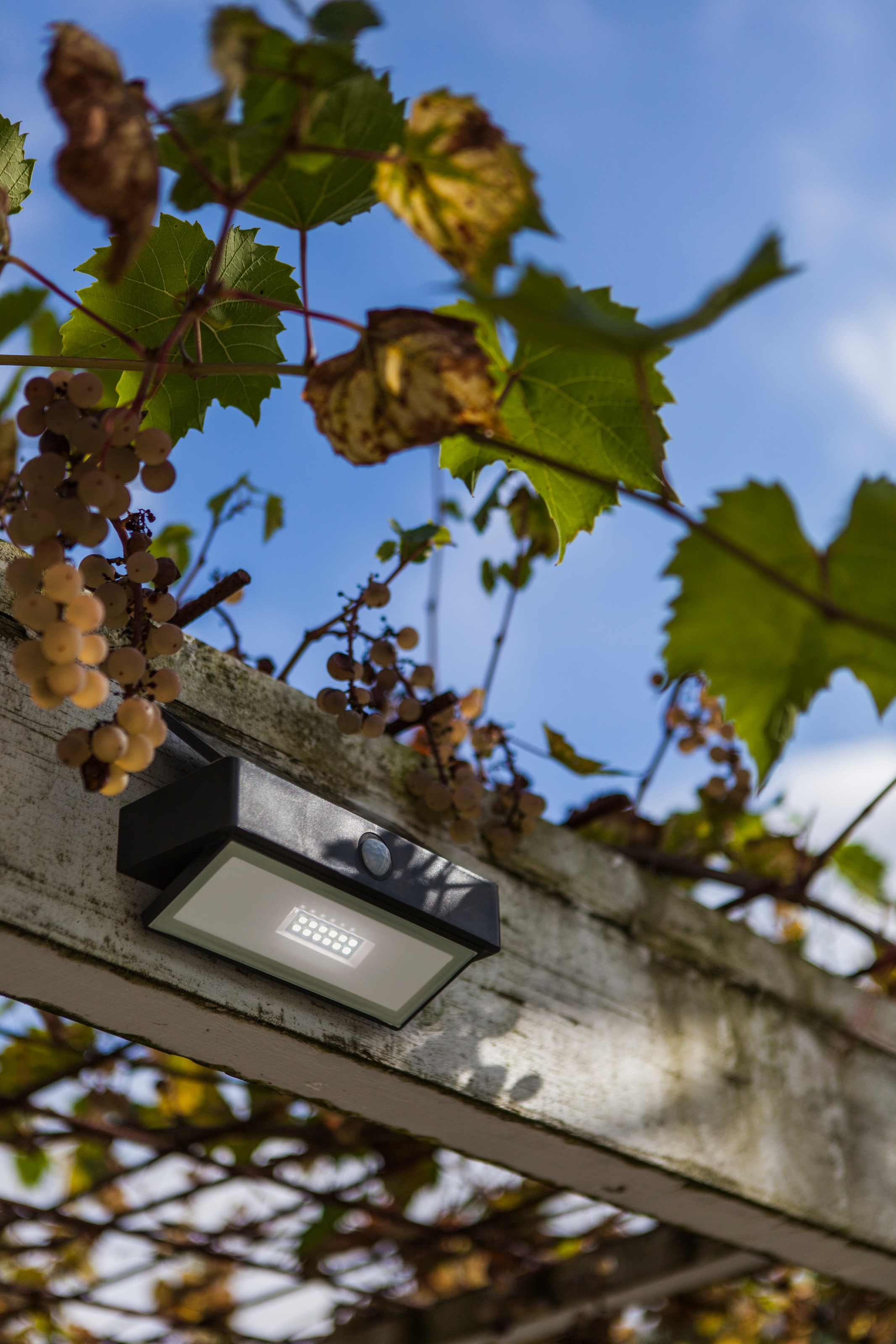 LUTEC LED Solarleuchte »LED-Solar-Wandleuchte Arrow, anthrazit«, 1 flammig, Leuchtmittel LED-Board | LED fest integriert, Bewegungsmelder
