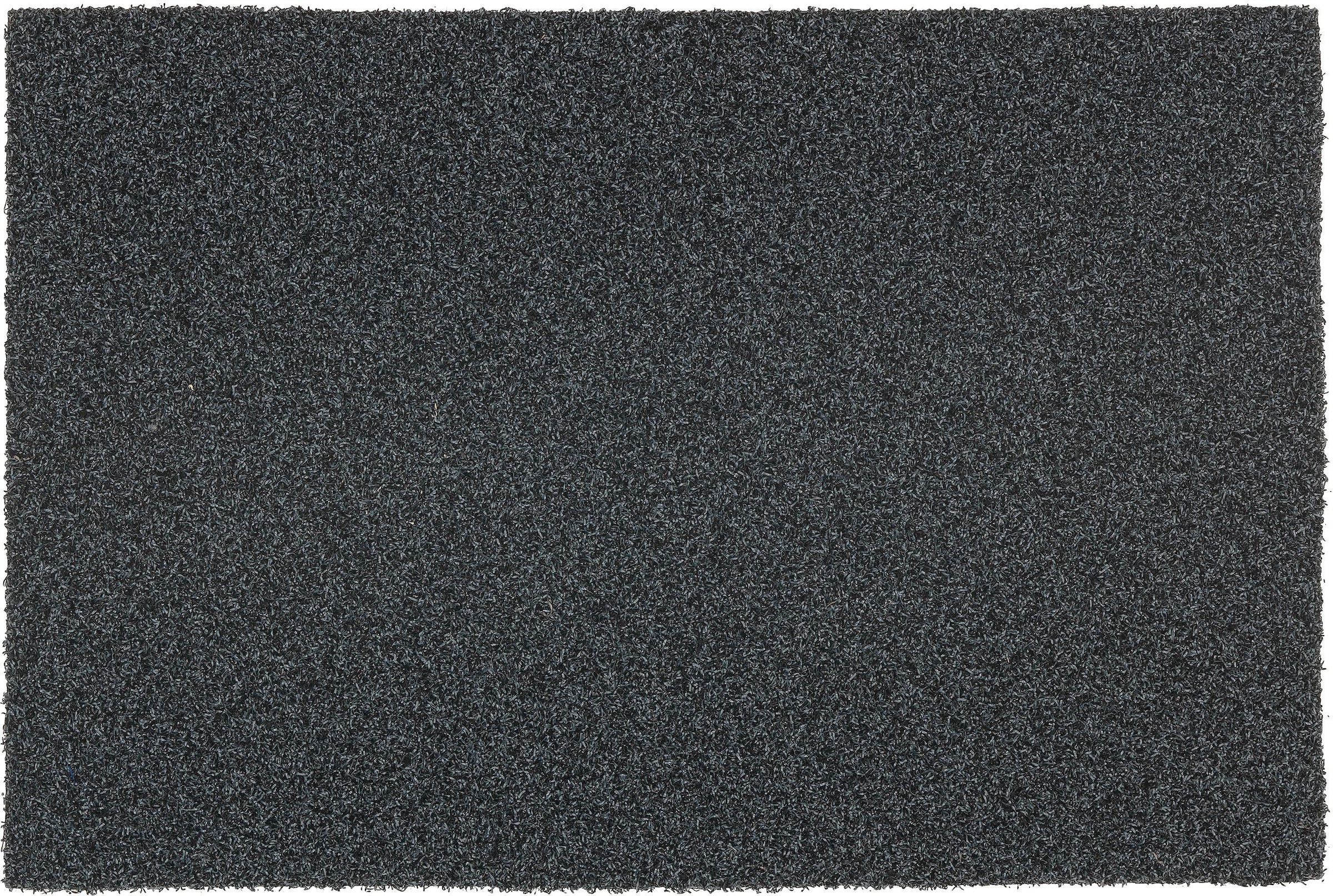 ASTRA Fußmatte "Brush Line 240" rechteckig 11 mm Höhe Türmatte, Schmutzfang günstig online kaufen